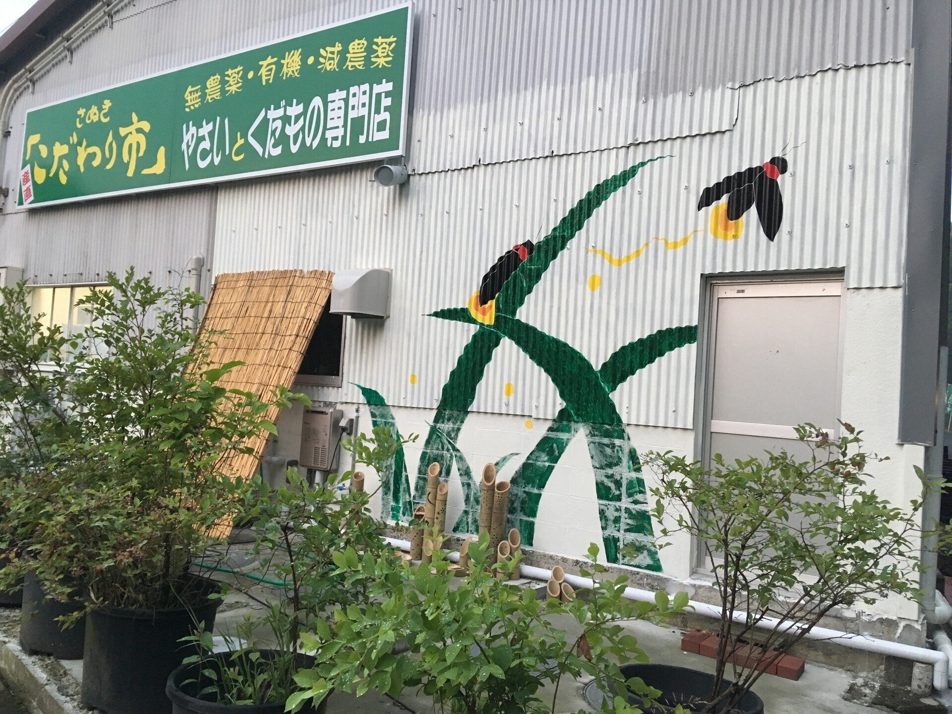 2023年版：香川県三豊市蛍スポットまとめ｜週刊みとよ ほんまモンRadio!