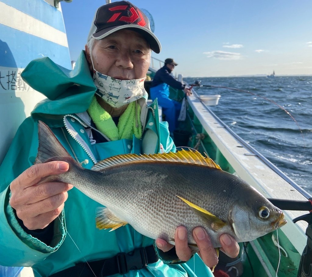 がまかつ CHANNELMARK 50-240 50号2.4m イサキ アジ 鯛 がまかつ 仕掛け イサキ・アジ・真鯛 吹き流し仕掛 10-4: 釣具の