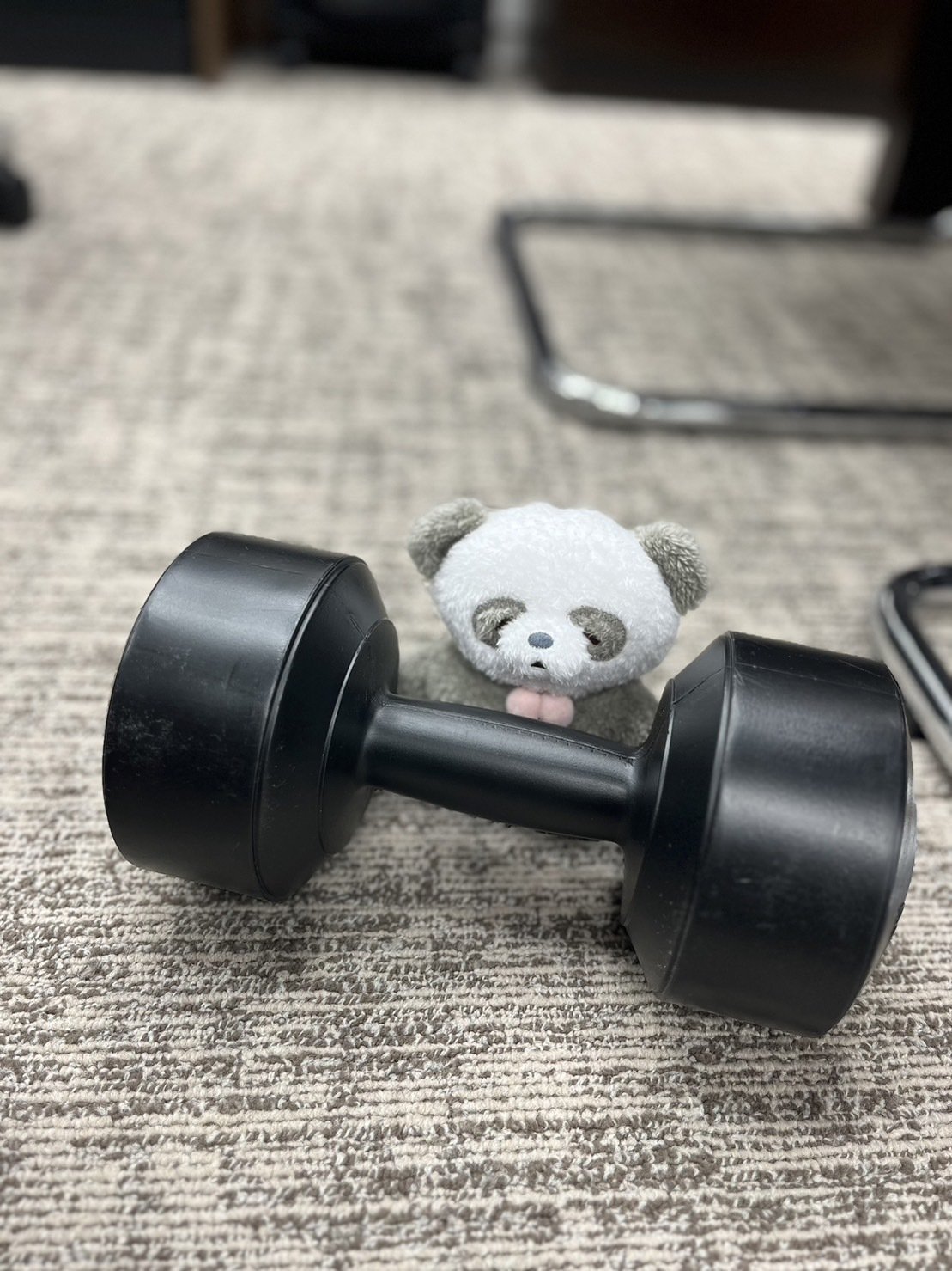 ぬい撮り】パンダのたっとんの筋トレ🐼｜Yukihiro🧸