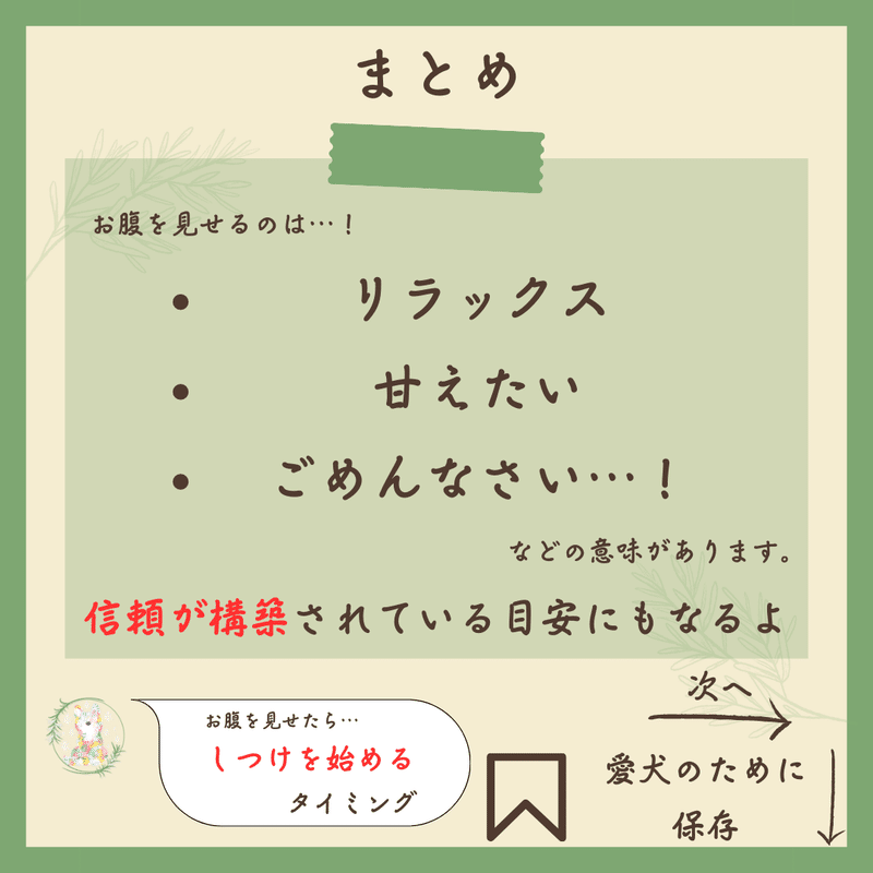 犬がお腹を見せる意味【まるっと早わかり】