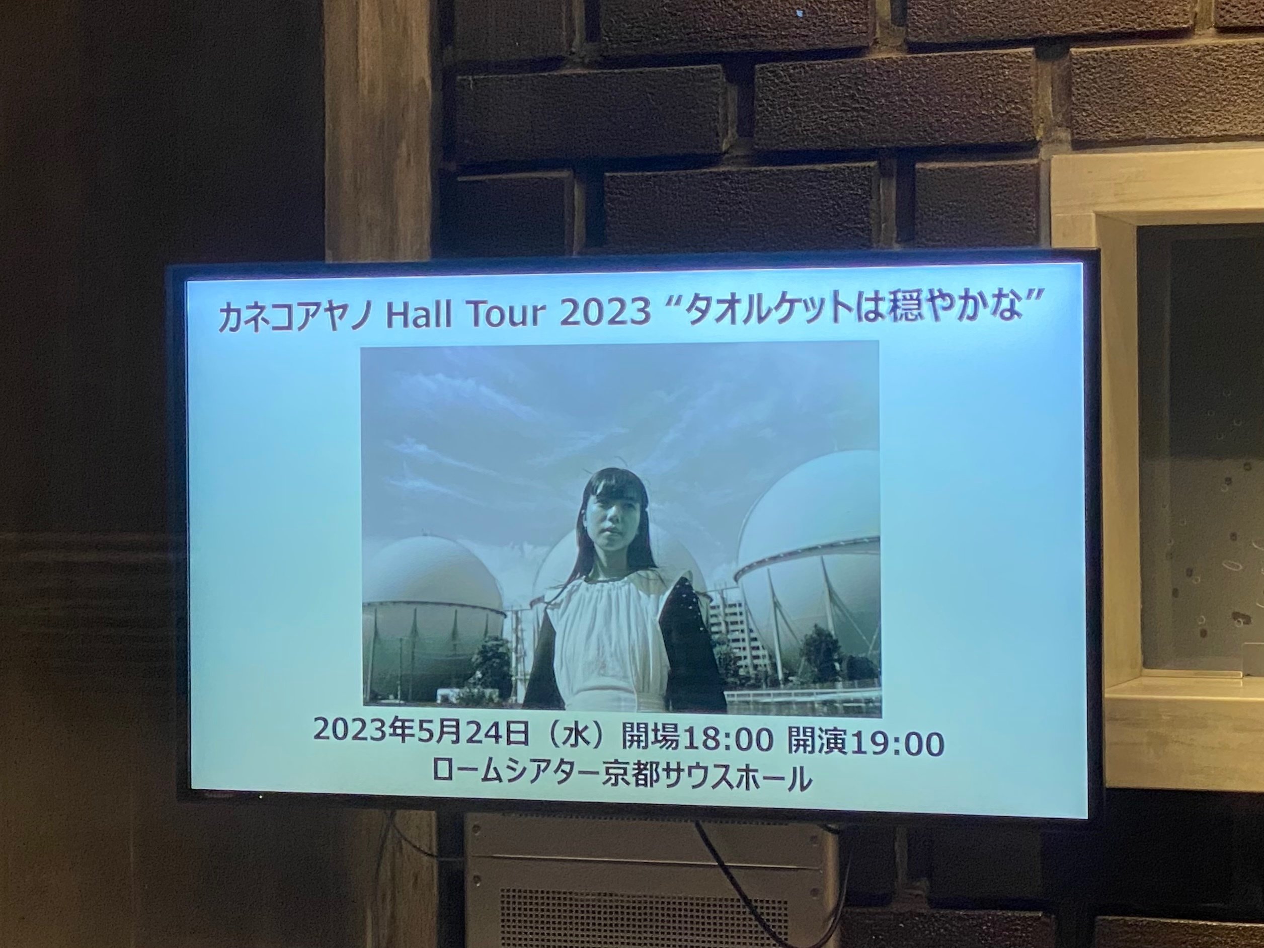 悲しみを消すための傷が絶えない 2023.05.24｜今野ぽた