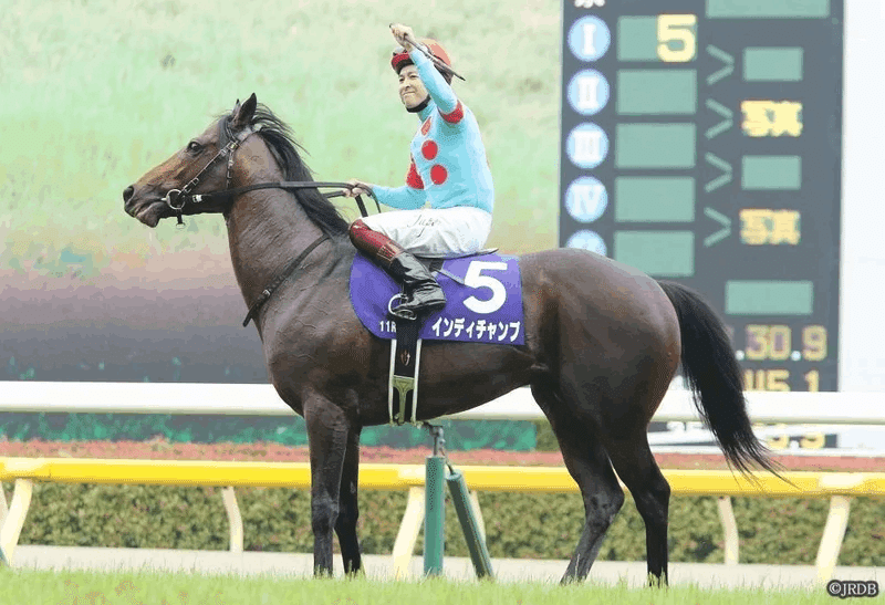 2023安田記念 過去5年傾向 （外厩・指数・パドック）｜JRDB 競馬