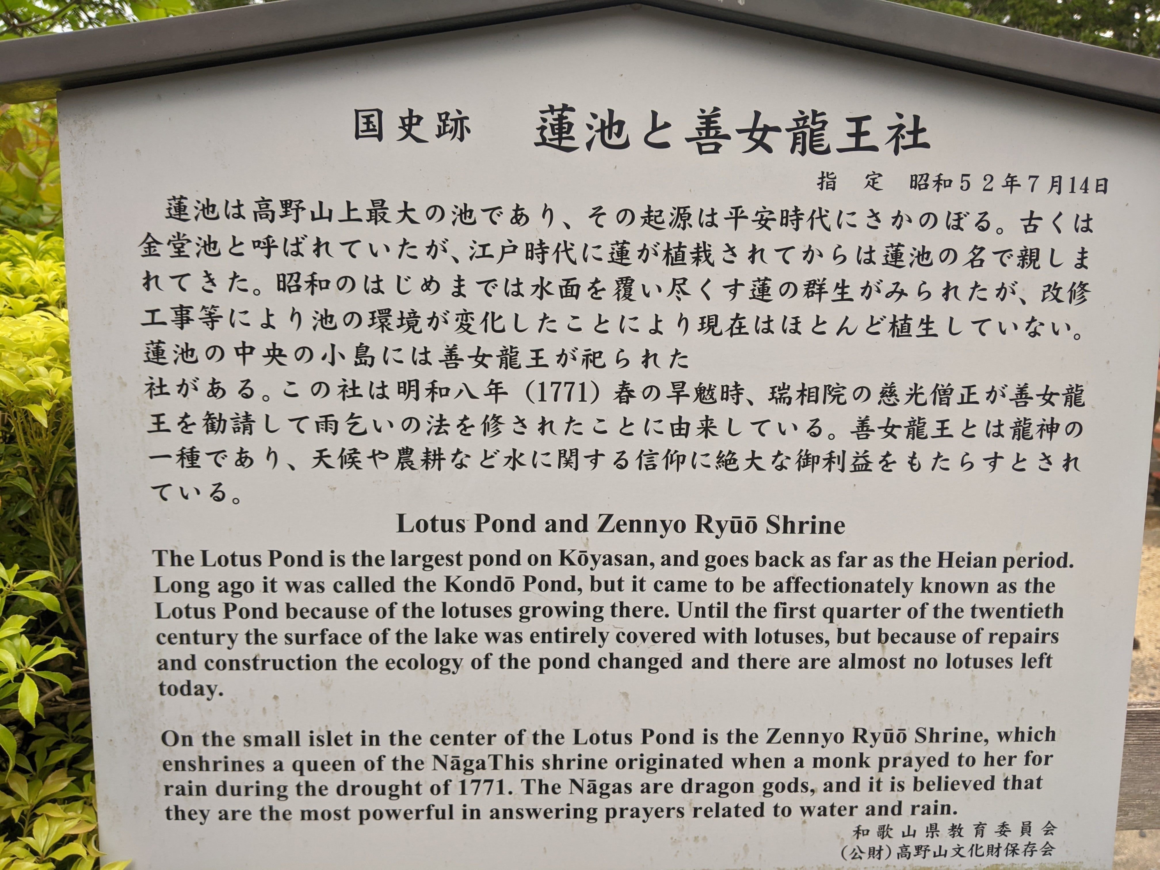 弘法大師御誕生1250年記念】参拝フリーパスでまわる高野山｜さりー