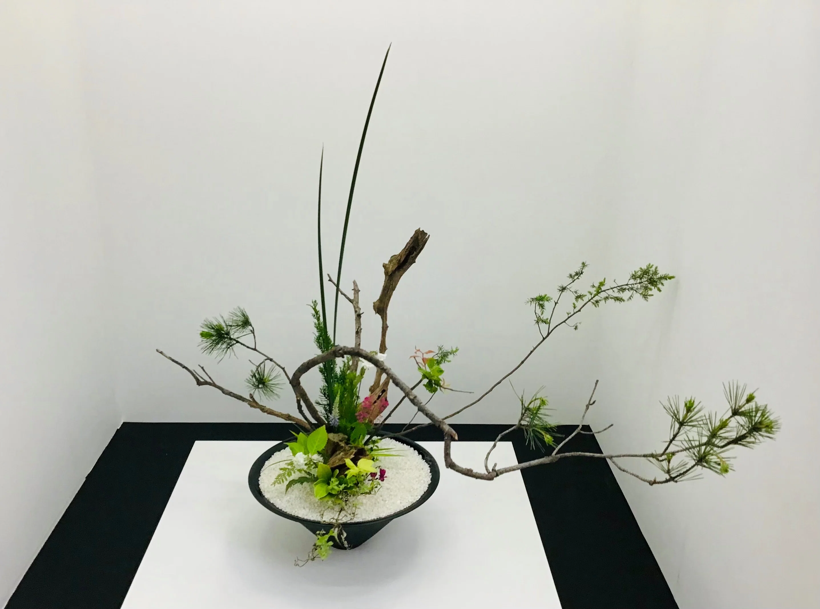 池坊展｜さみみのみみは何の耳？