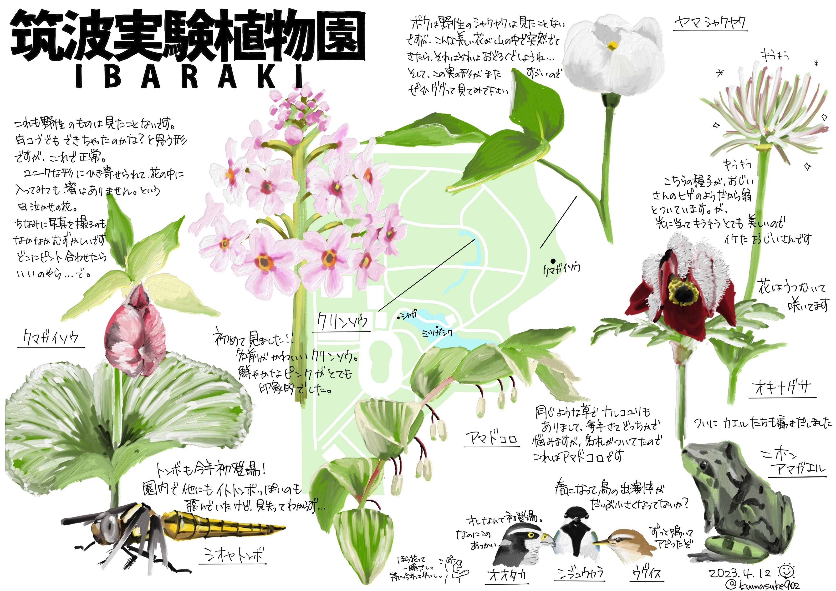 世界最大の花よりも、クレマチスよりも、虫に夢中になってしまった5月