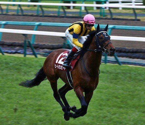 【目黒記念（G2）】～予想篇｜Haya