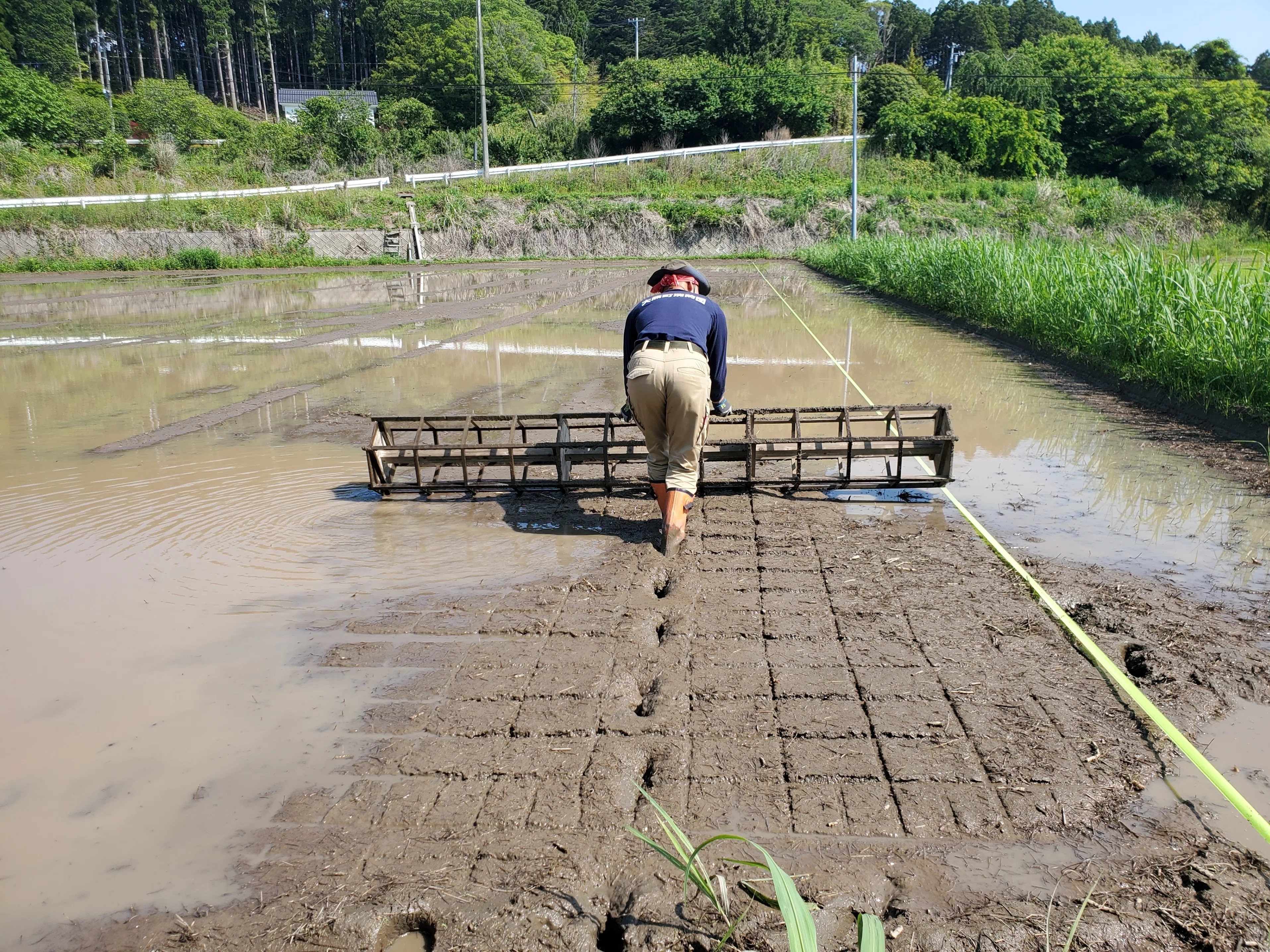 はじめての自分の家の田んぼの田植え｜佐藤亜紀(大熊町/Fukushima)