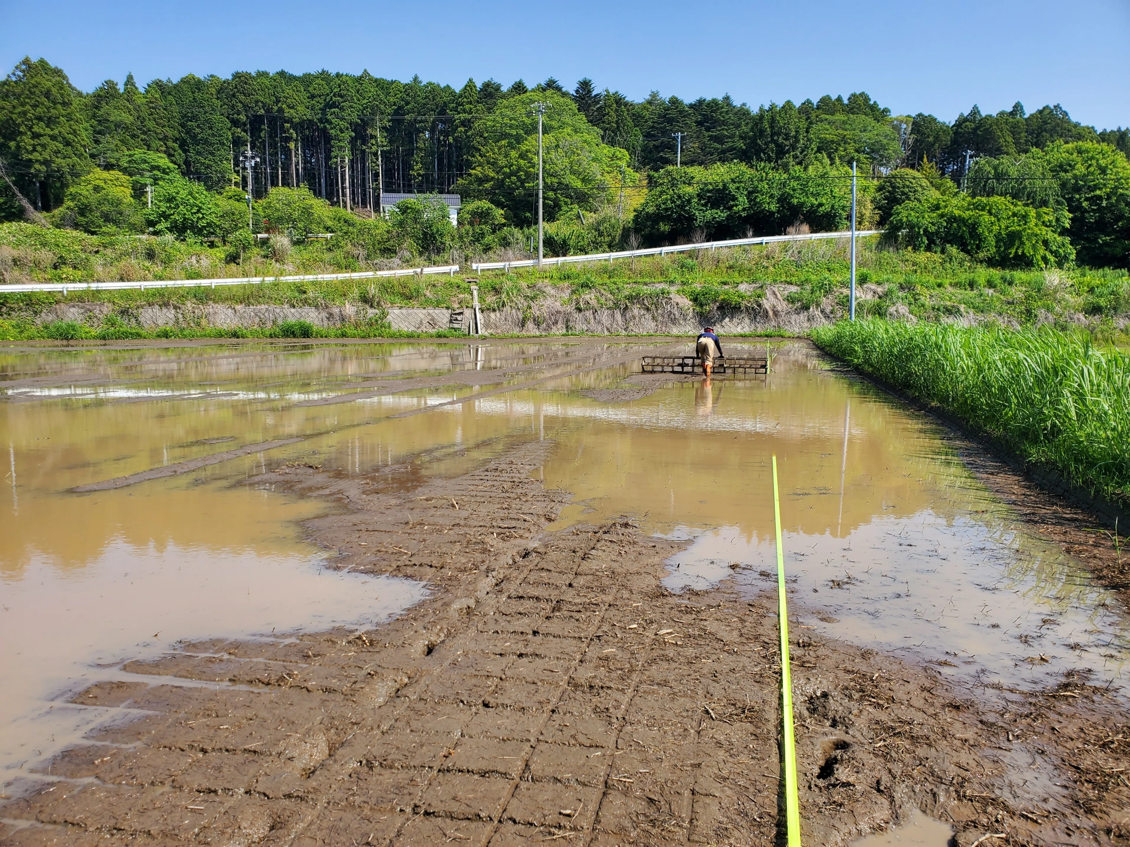 はじめての自分の家の田んぼの田植え｜佐藤亜紀(大熊町/Fukushima)