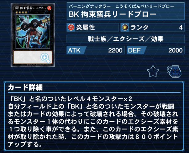 BK(バーニングナックラー)構築解説 展開力と妨害力を手に入れ BK(バーニングナックラー)構築解説 展開力と妨害力を手に入れ