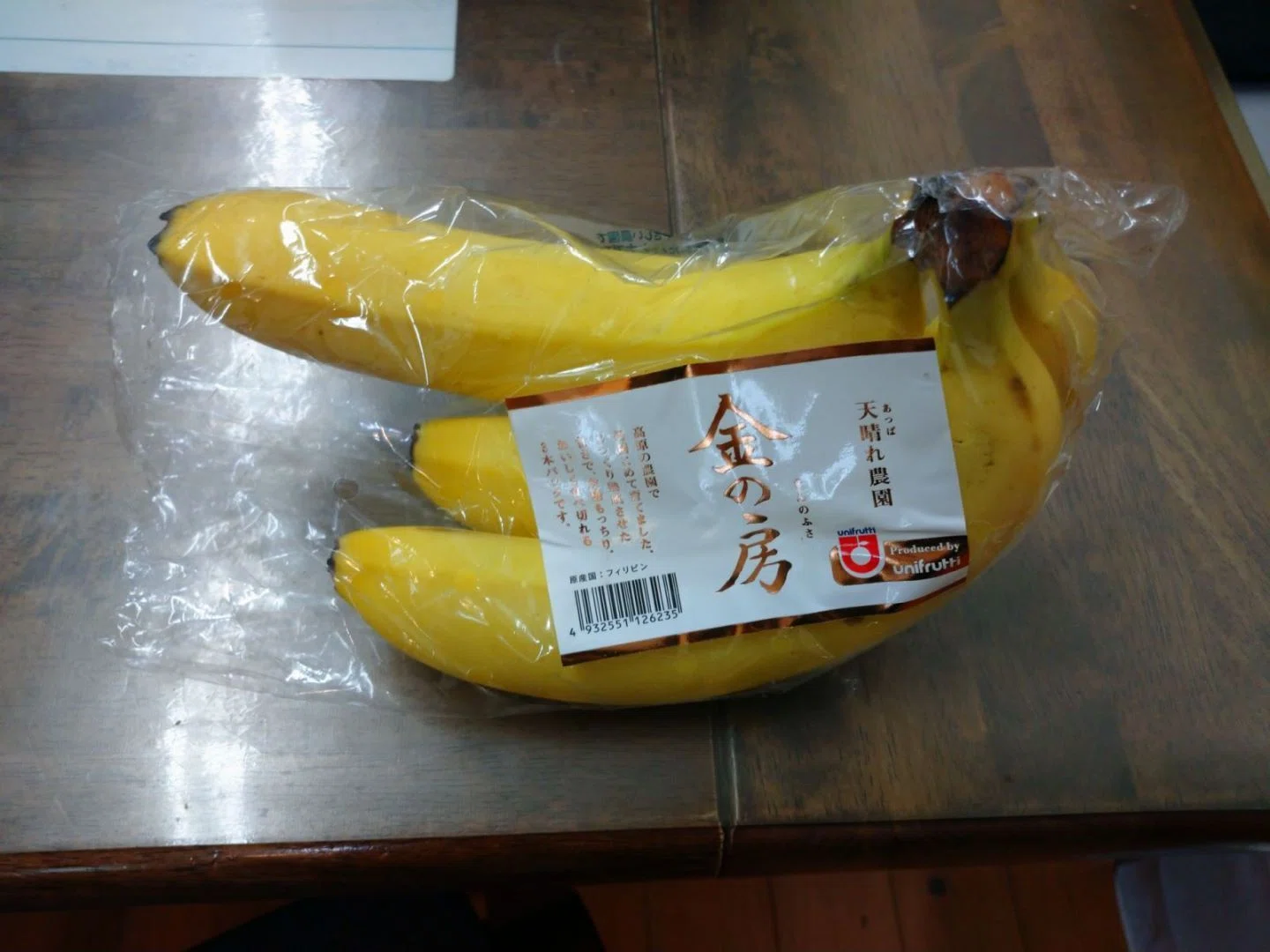 逞しいです・・・|COPAN
