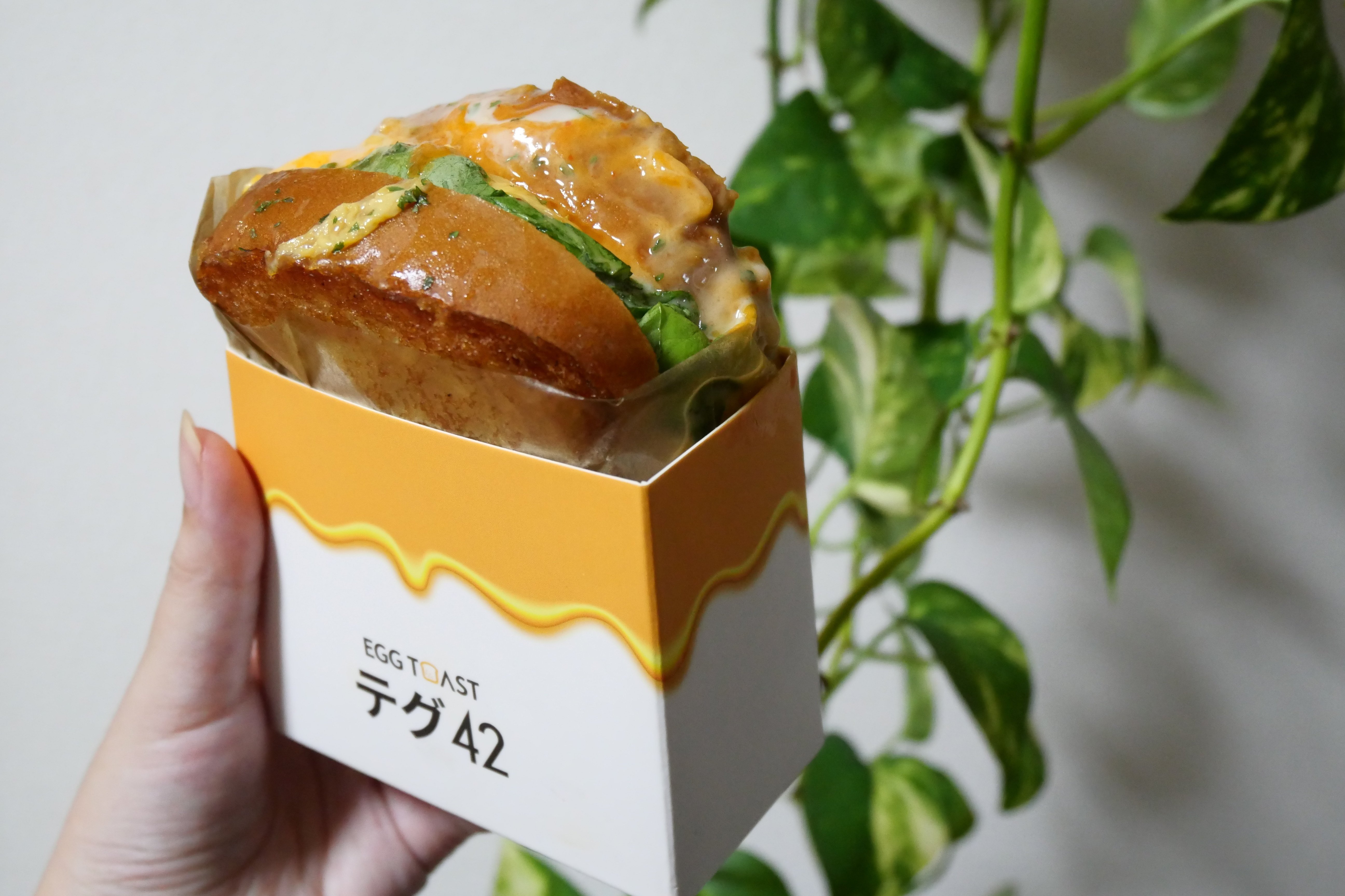 マカロンロン*　第4種郵便 ❤️スペシャル価格❤️3148【Ashwood】 マカロンロン*様専用 第4種郵便 ❤️スペシャル価格❤️3148【Ashwood】