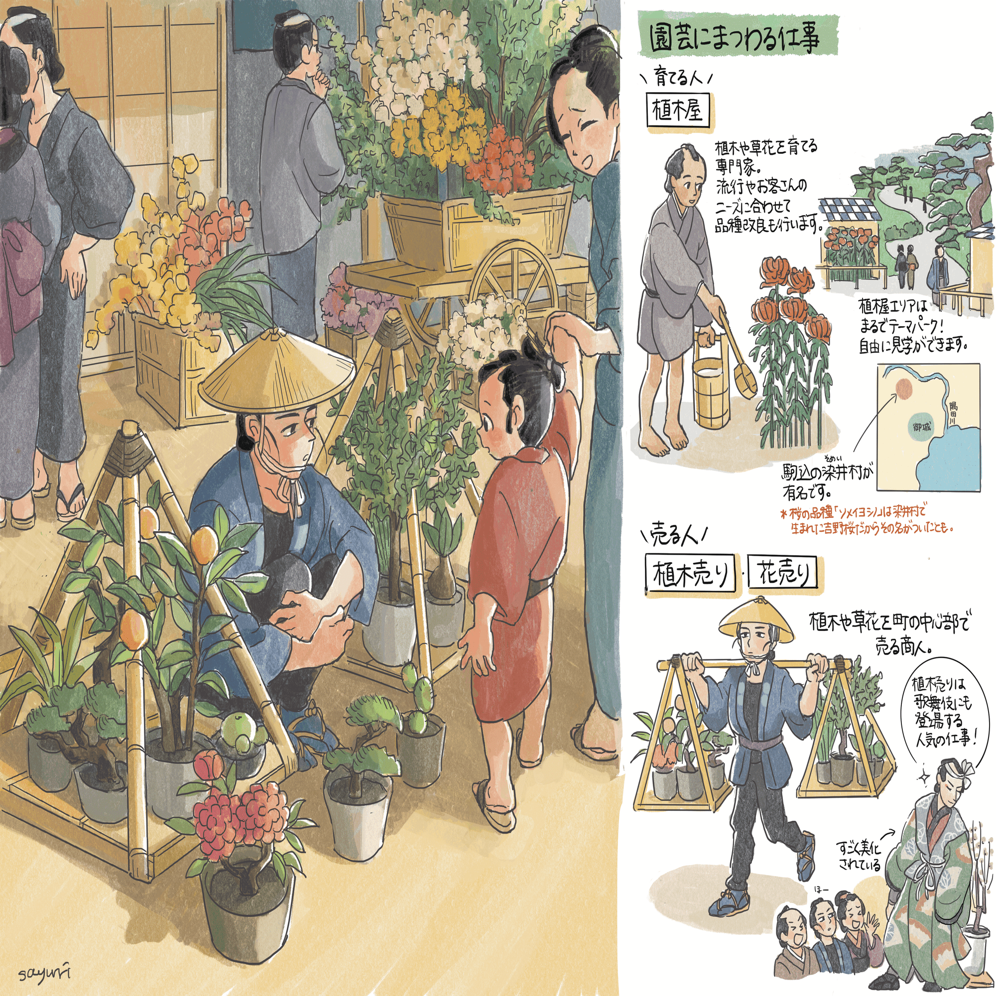 植木売ります。
