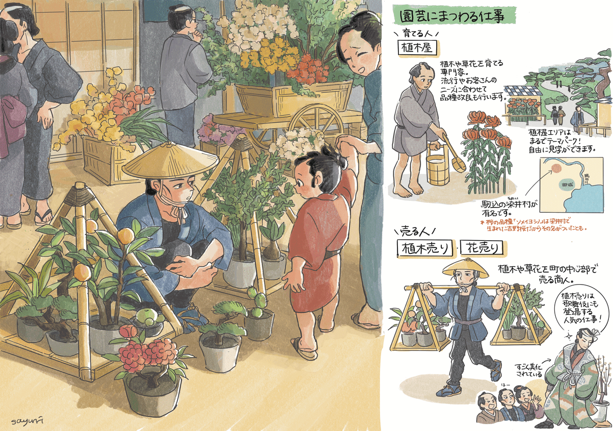 第一ネット 植木売ります。 テント・タープ