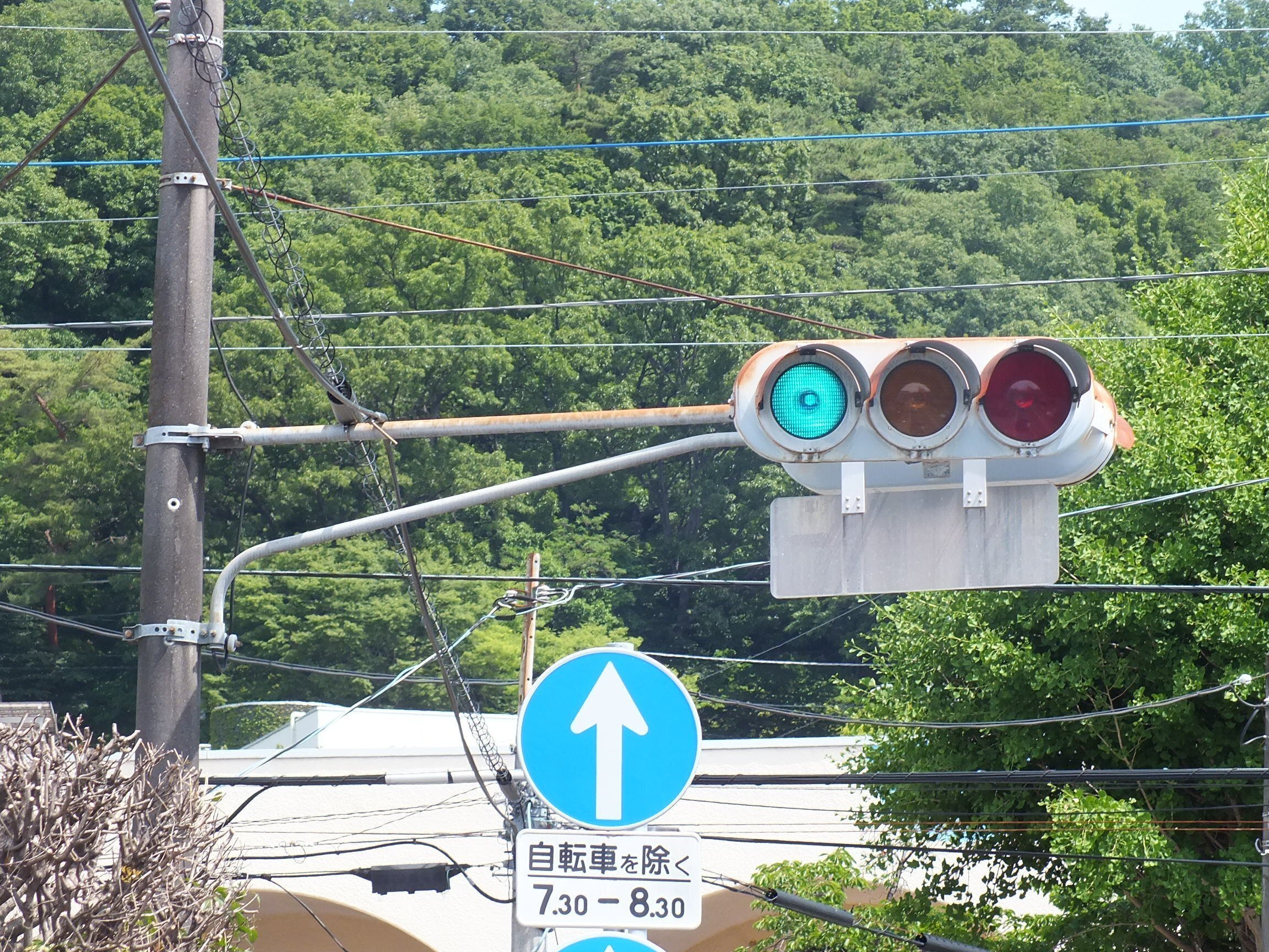 小糸S型濃色赤だけ300と京三PLA前期型歩灯の歩車分離式信号 in 小糸S型濃色赤だけ300と京三PLA前期型歩灯の歩車分離式信号 in