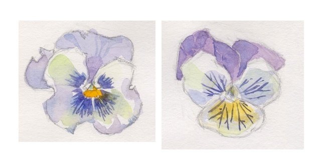 水彩画手描きイラスト 取り替えっこしよ！ 水彩画手描きイラスト