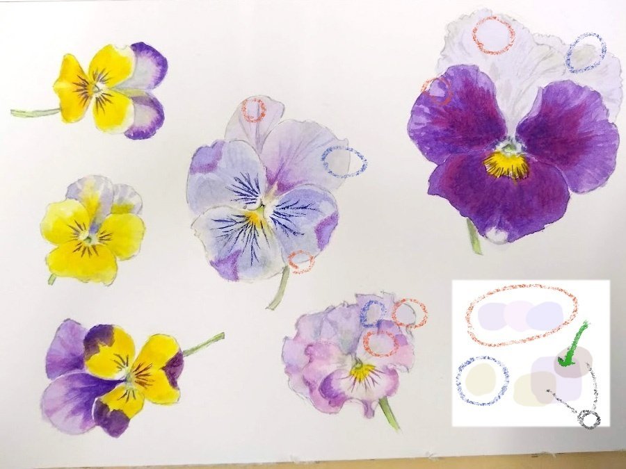 You Tube見たら透明水彩のスケッチが上達する件について記事書きます