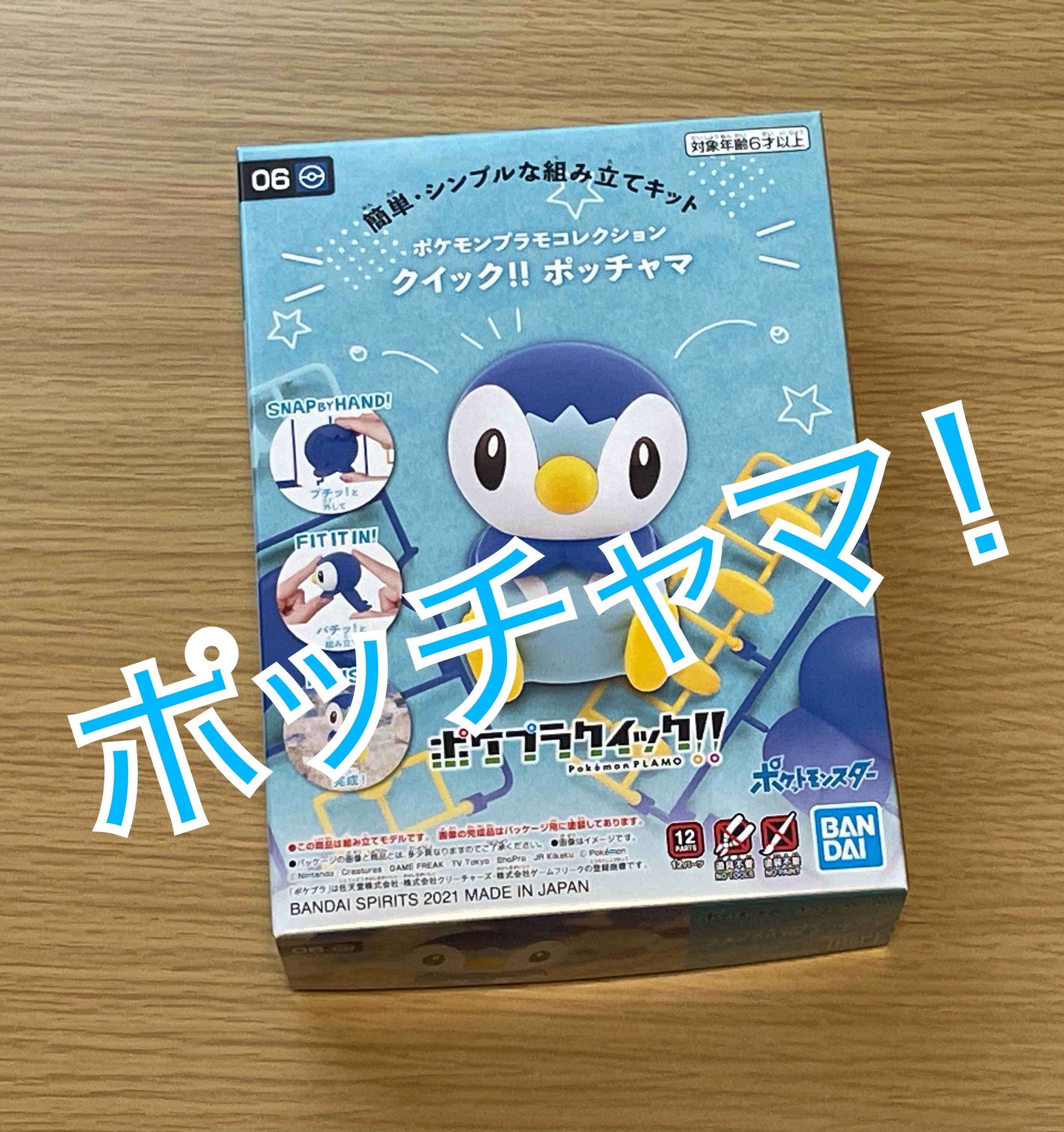 自分をポｯチｬマだと思い込んでいる成人男性がポケモンプラモ