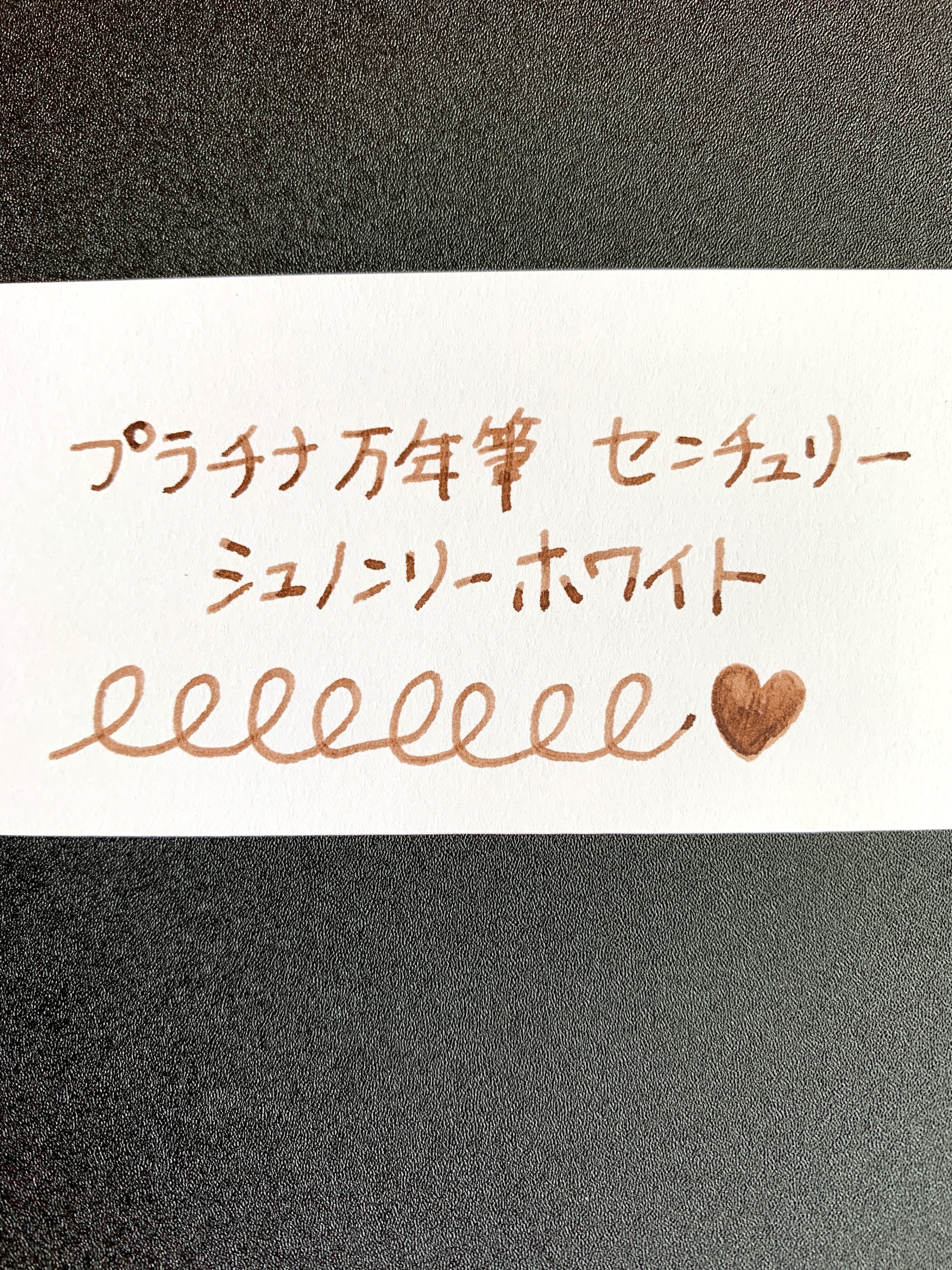 プラチナ万年筆センチュリーのCニブを使い始めて1ヶ月｜くらざ
