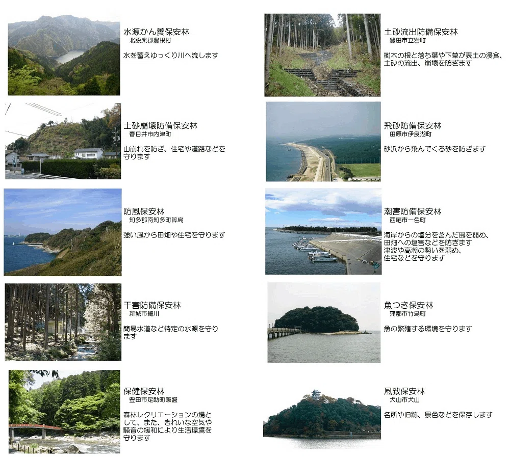 森林法📖＃不動産🏠#重要事項説明📃＃不動産塾🖋｜不動産塾長👔