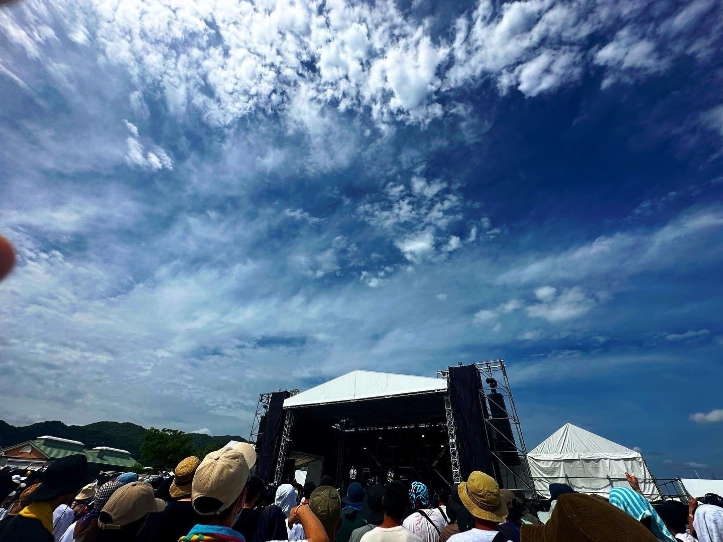 ヤンガオキャップ　森道市場 森、道、市場 2023｜ふじもと