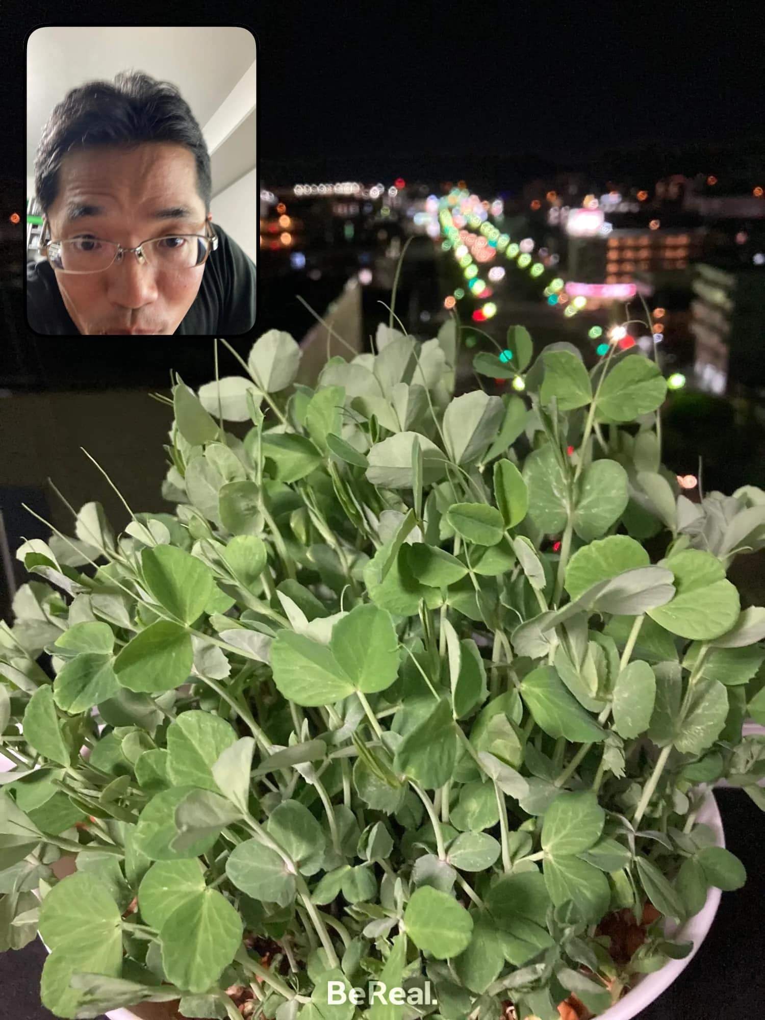 LINE公式アカウント｢リッチメニュー｣でURLで飛ばすのは損｜(新潟県