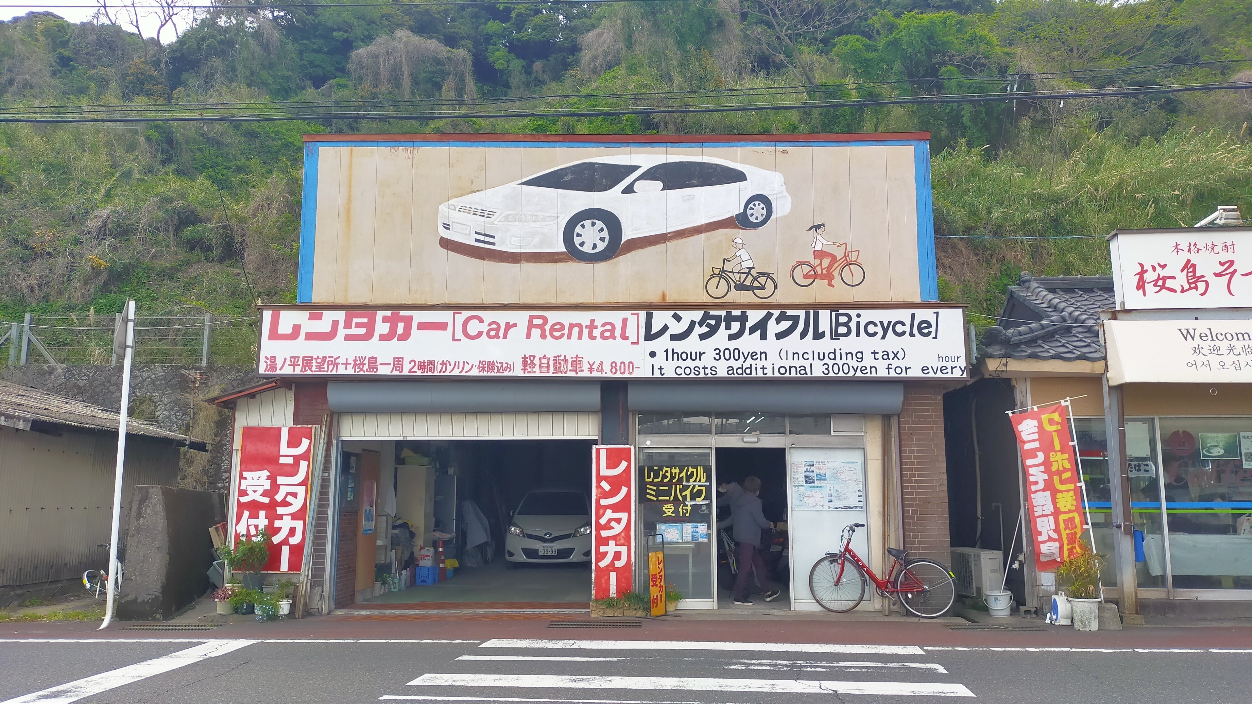 福島一二三、【御車（みぐるま）返しの桜】、希少な額装用画集より 非凡夫婦ツマ産みの親！母と行く（？）桜島一周サイクリング｜或