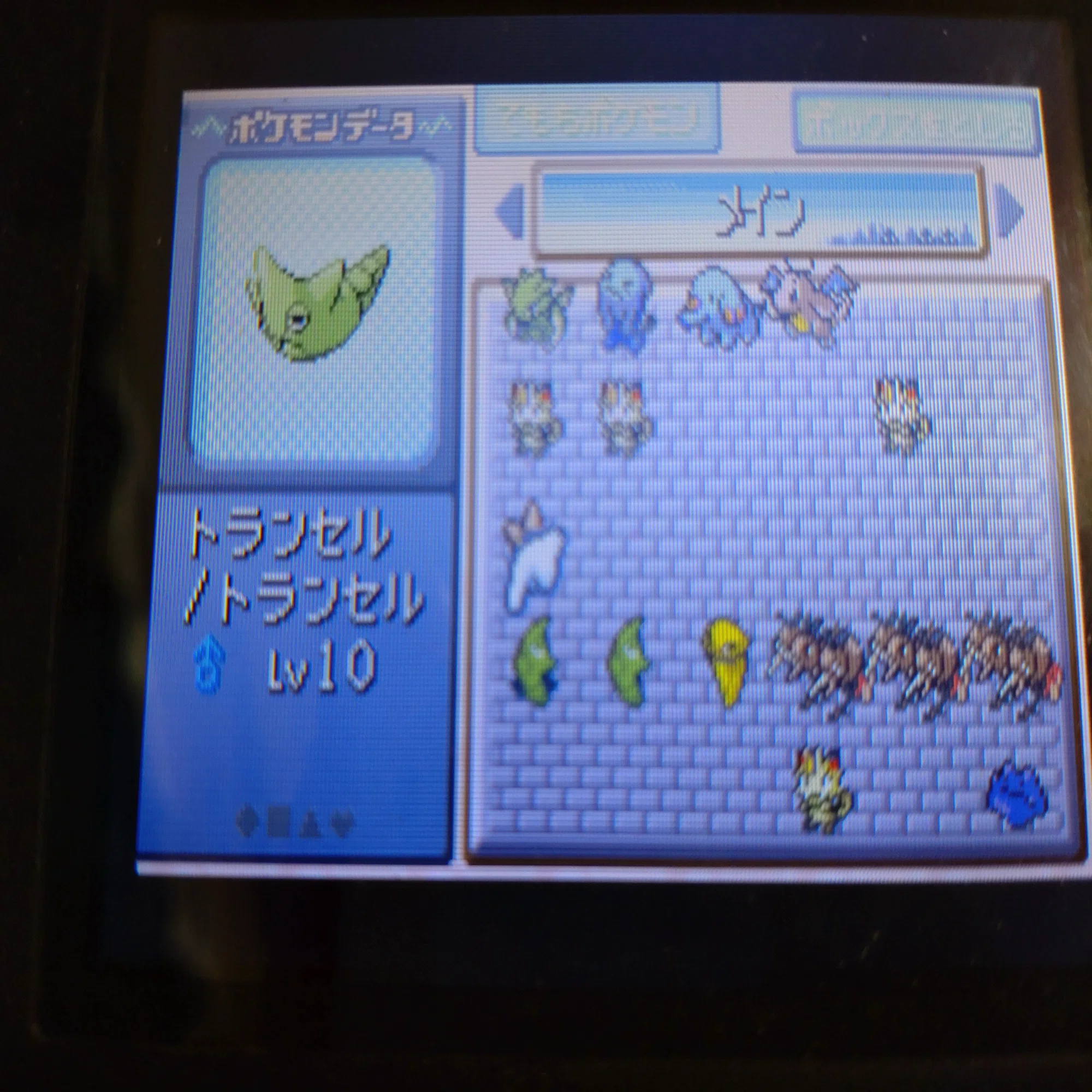 ポケモンFRLG］三世代環境を整えたい①｜がみ