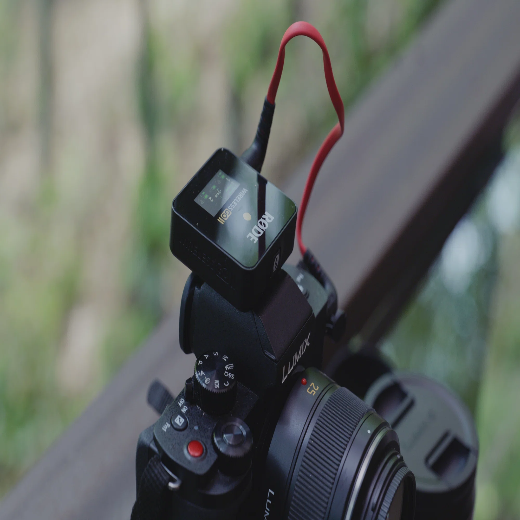 小さなカメラと「今」を楽しむVlog撮影｜pitaco｜LUMIX Magazine