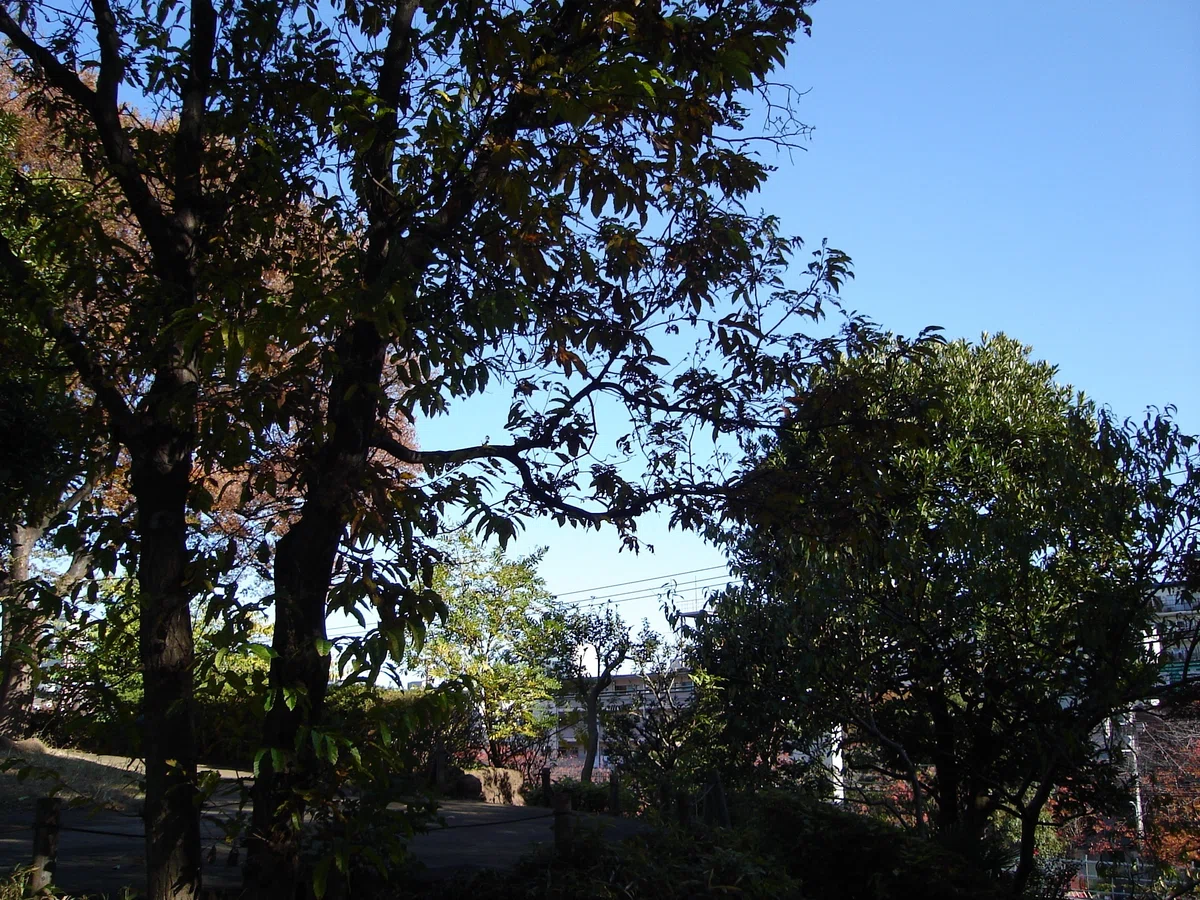 東部台地 貝塚村
