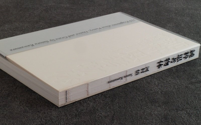 純粋思考物体 純粋思考物体 | 河村 悟 |本 | 通販 | Amazon