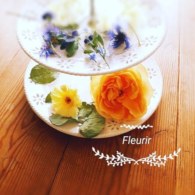 ミモザと花々鳥かごアレンジ　フライングリース　母の日　母の日ギフト ミモザと花々鳥かごアレンジフライングリース母の日母の日ギフト