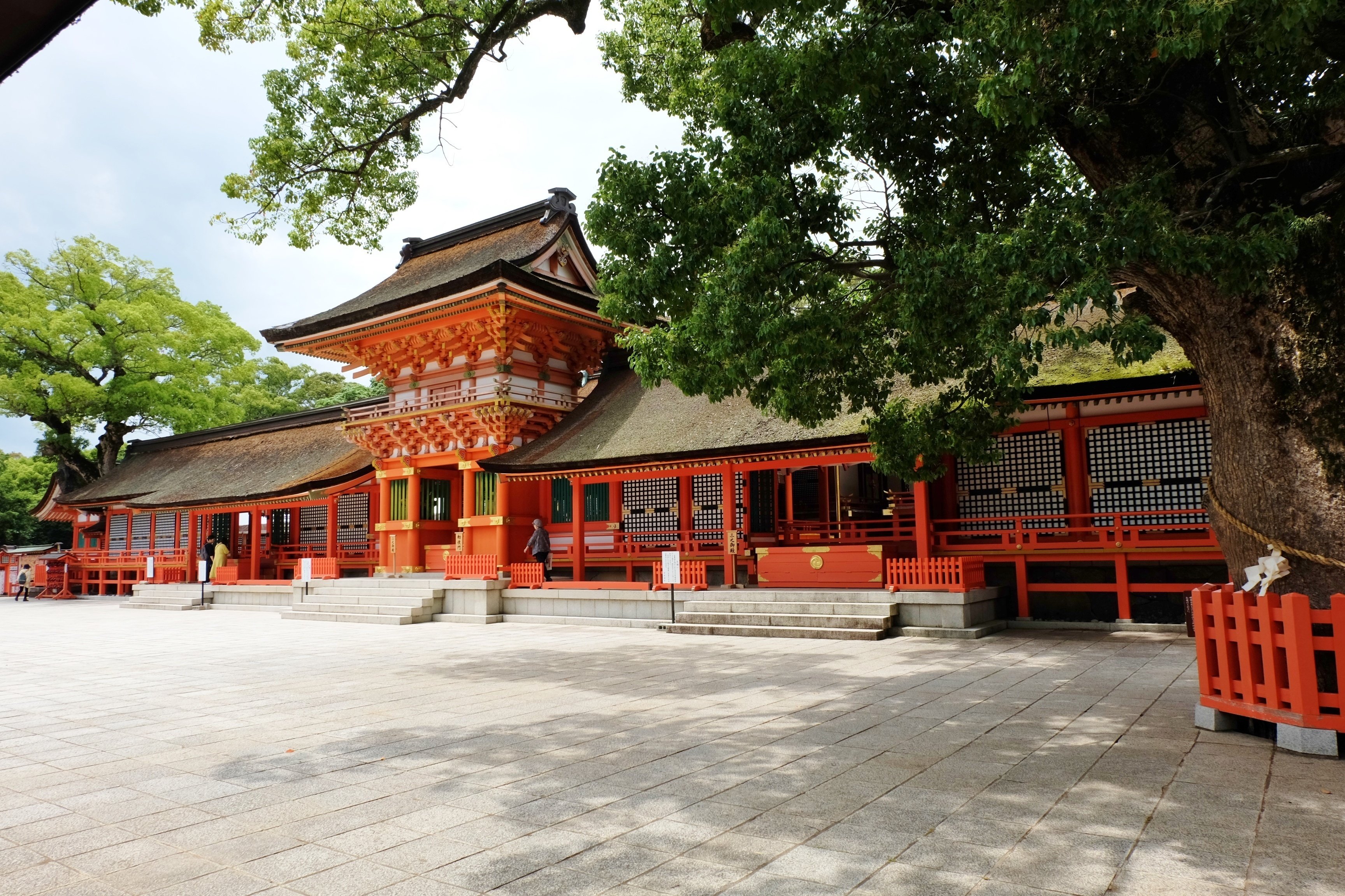 近代植物学のバトンを渡した賀来飛霞のふるさとを旅する 近代植物学のバトンを渡した賀来飛霞のふるさとを旅する