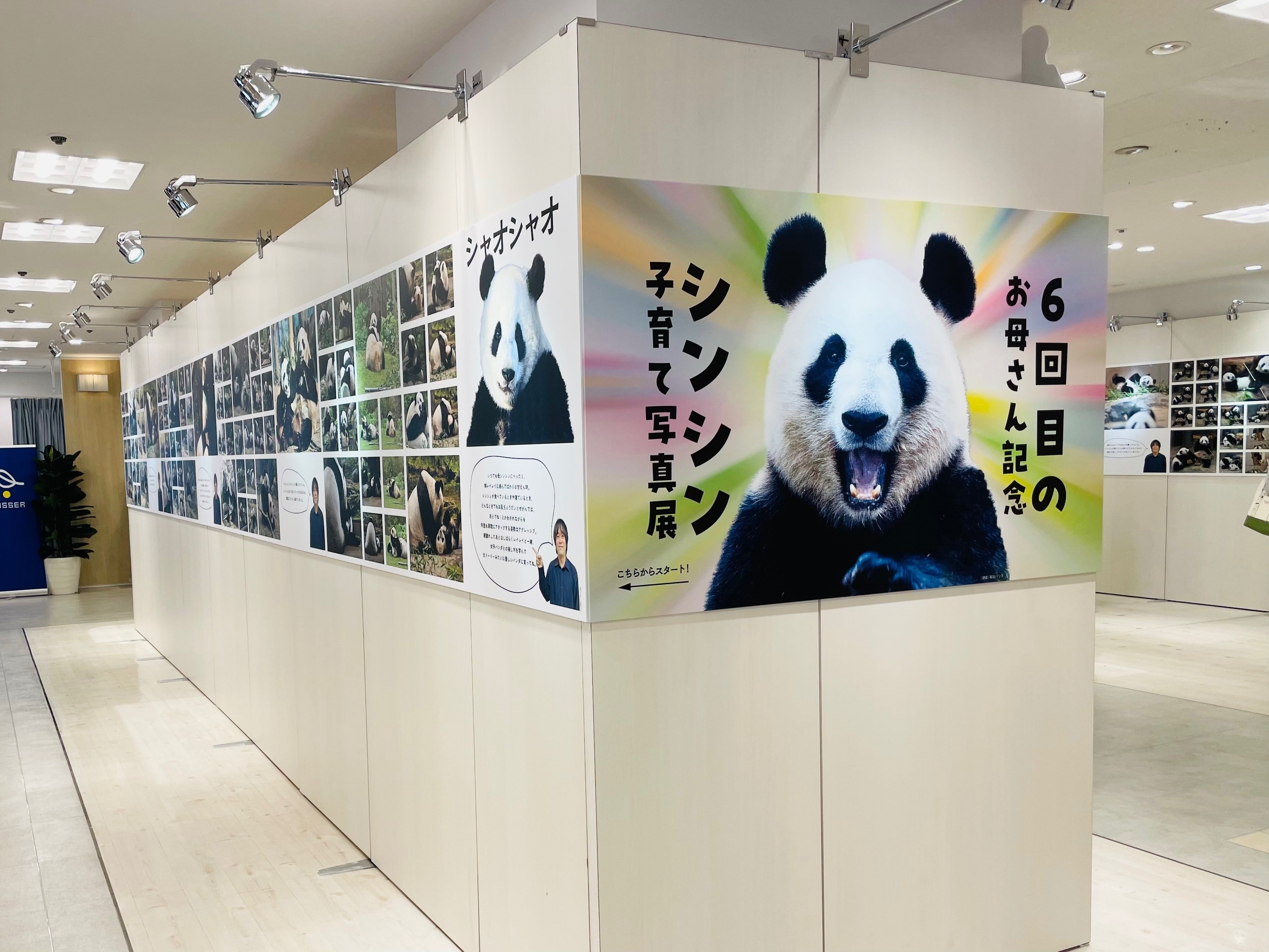 松坂屋上野店でHAPPY PANDAFUL DAYSを開催！（5/31～6/29）｜上野案内所