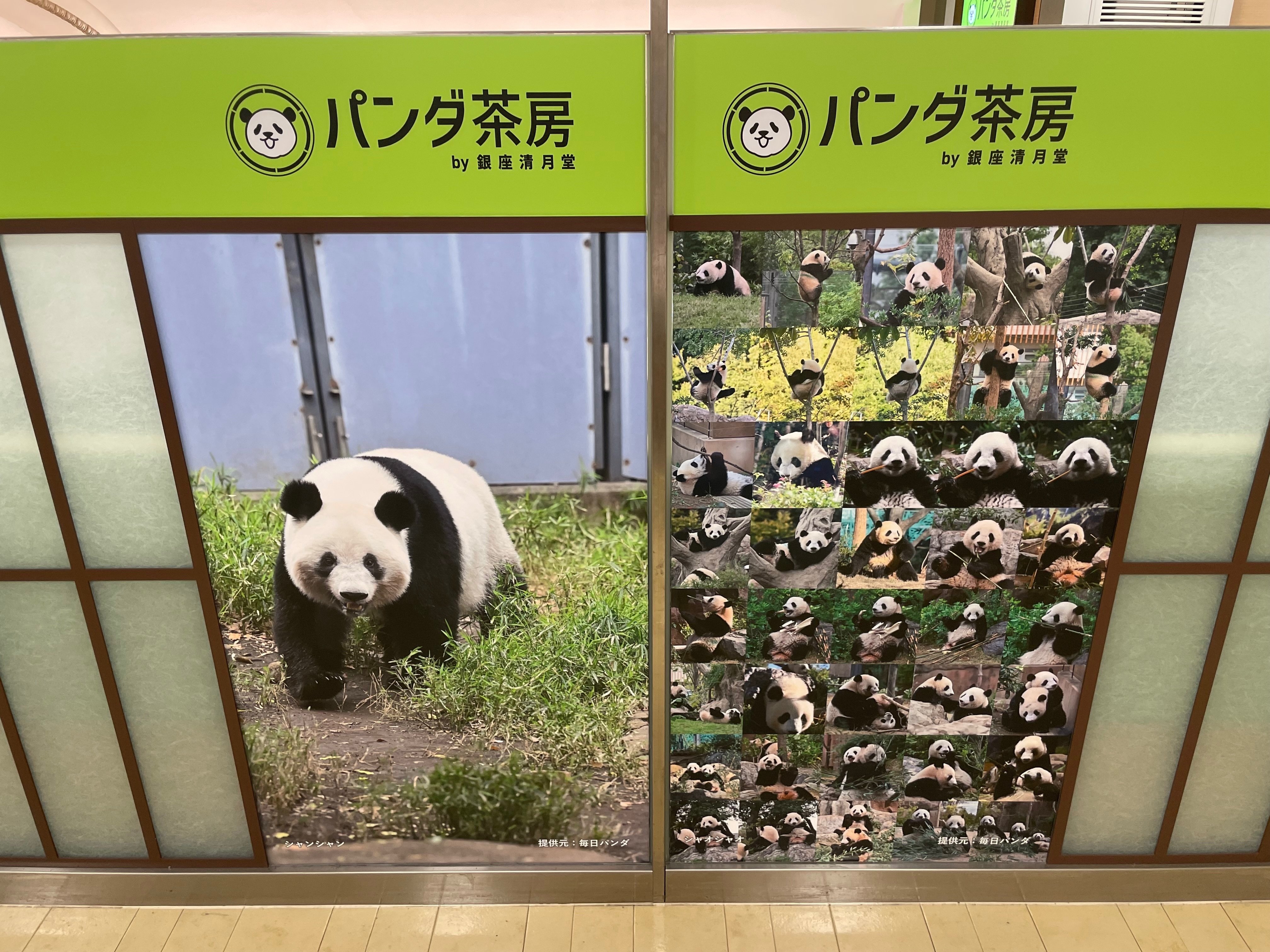 松坂屋上野店でHAPPY PANDAFUL DAYSを開催！（5/31～6/29