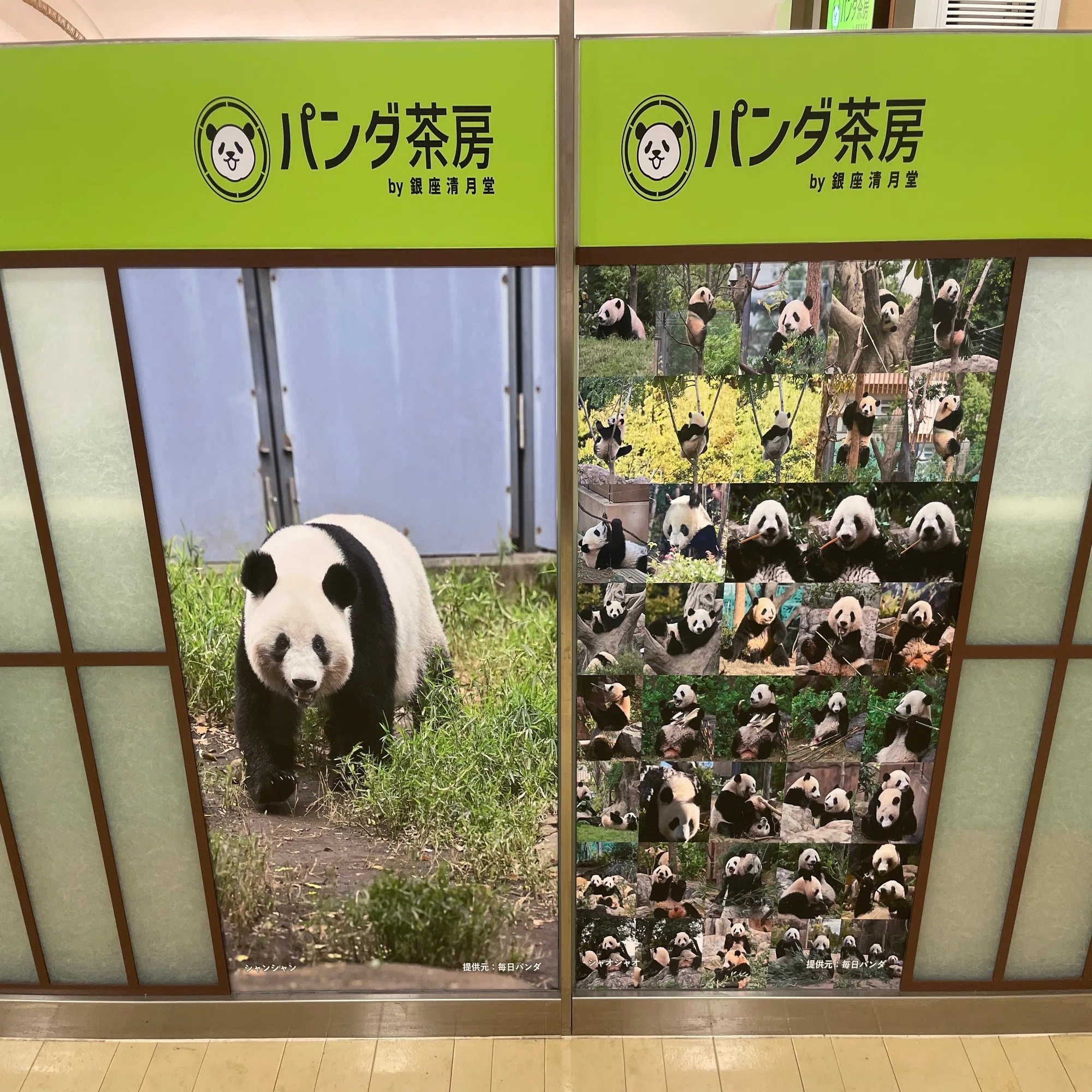 松坂屋上野店でHAPPY PANDAFUL DAYSを開催！（5/31～6/29）｜上野案内所