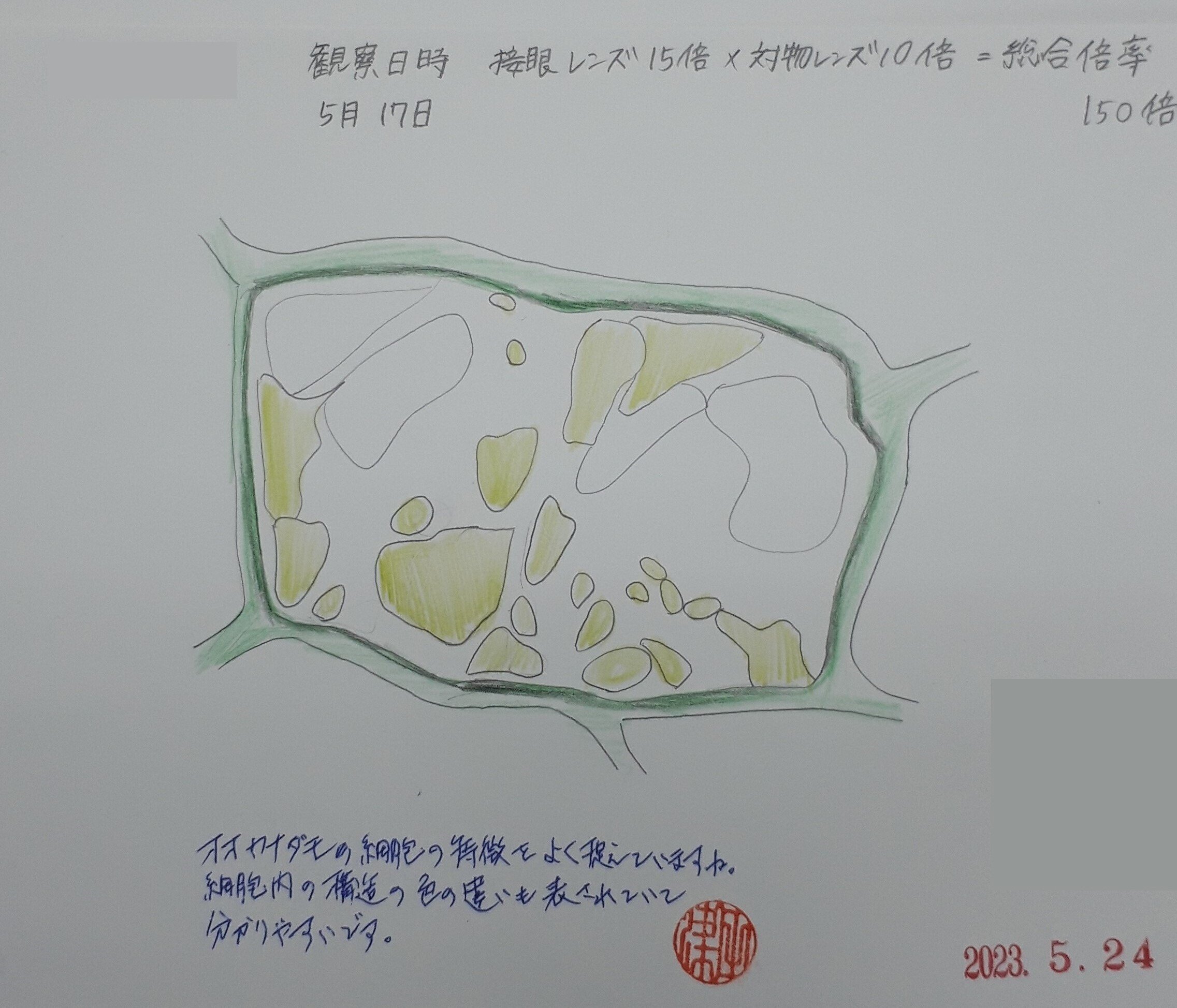 校長先生による特別講義「細胞のスケッチ」｜福島県立石川高等学校