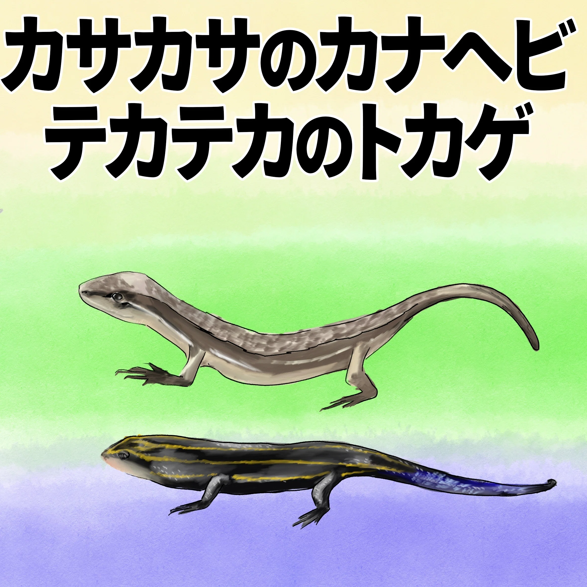 ひとまとめで「とかげ」？｜くますけ｜自然ガイド・クリエイター