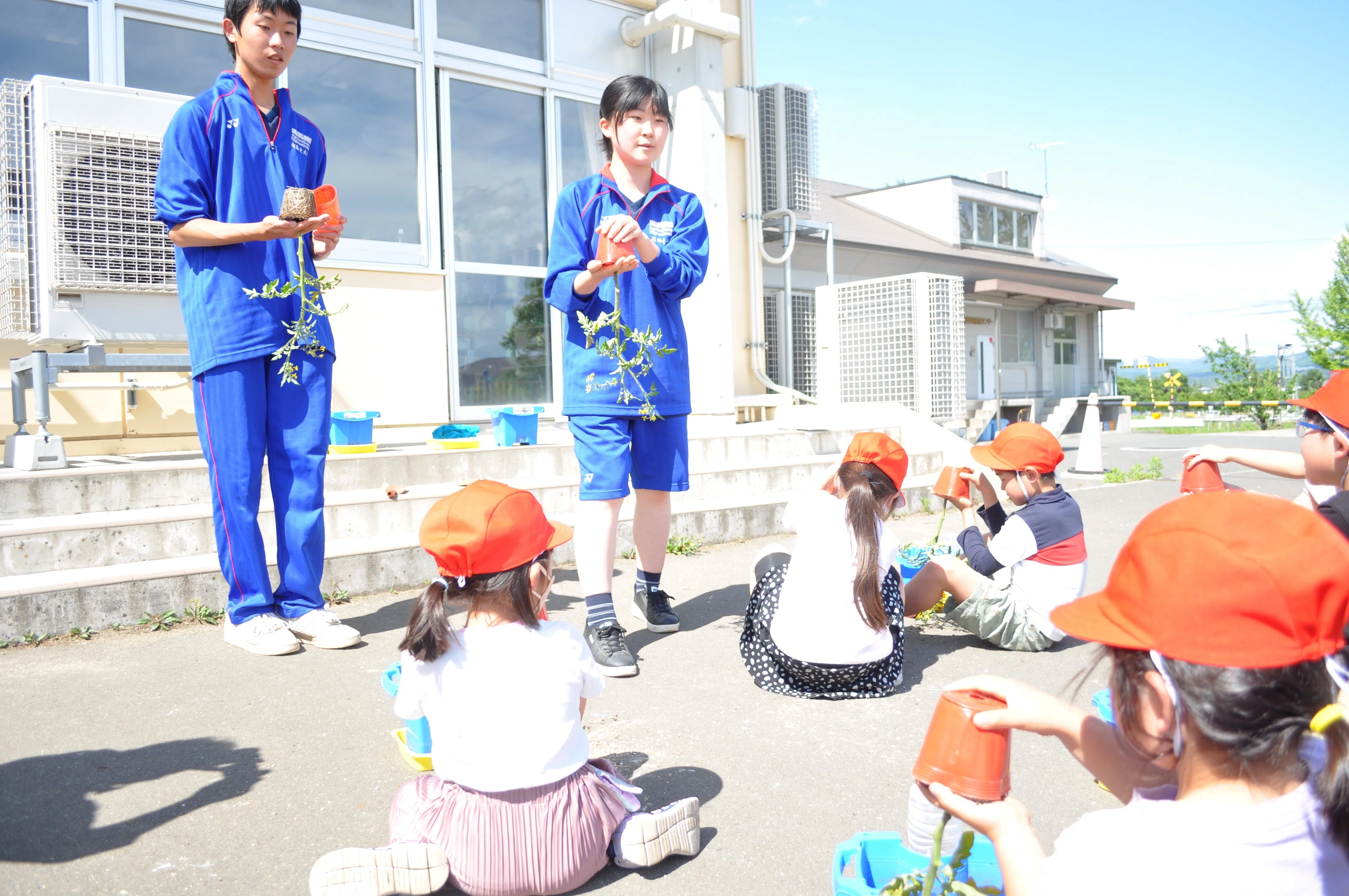 農業科学科2年生の野菜専門分会が真城小学校で交流授業をしました