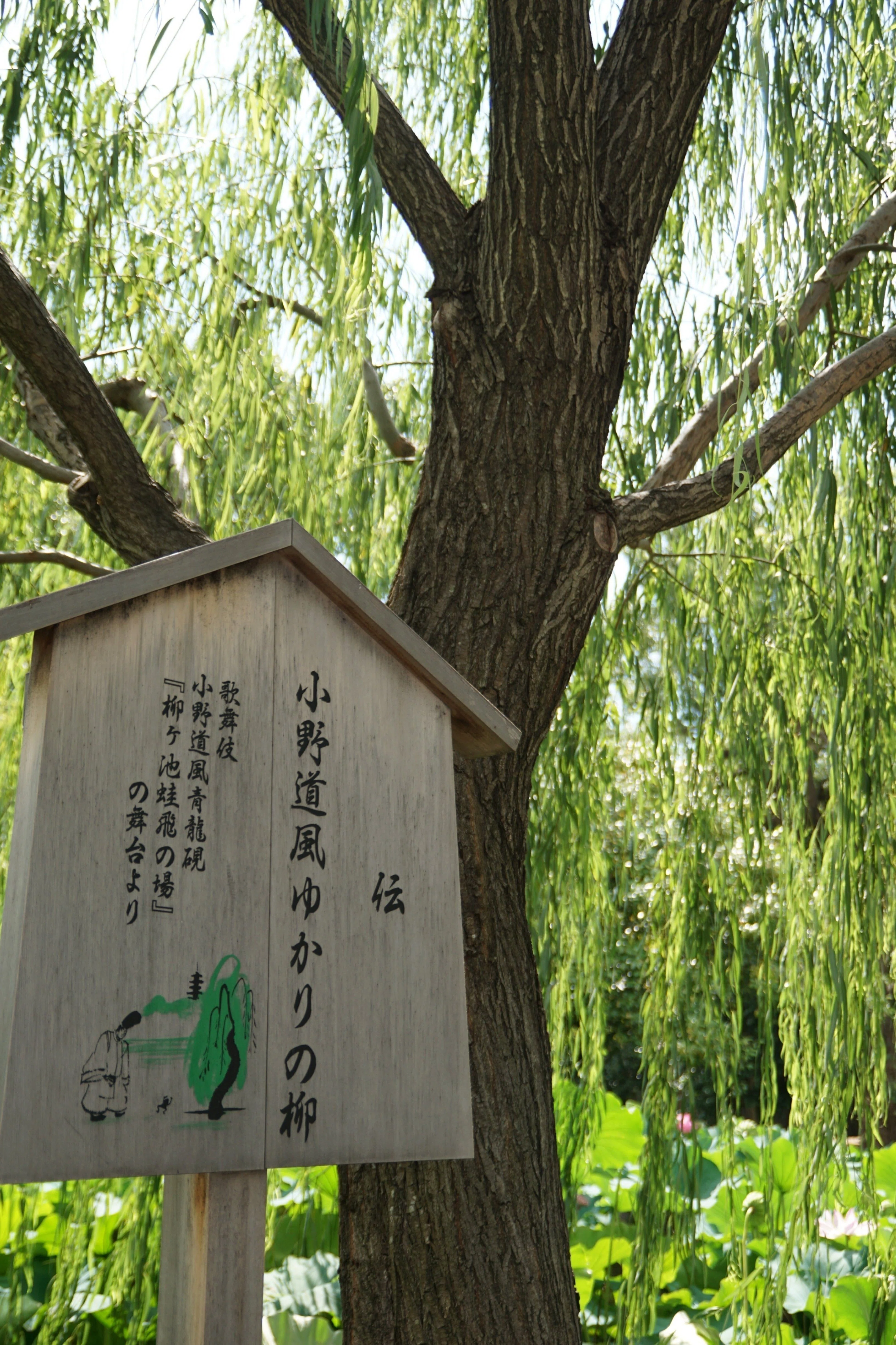 花札にも描かれた「書道の神」小野道風 ｜小野照崎神社