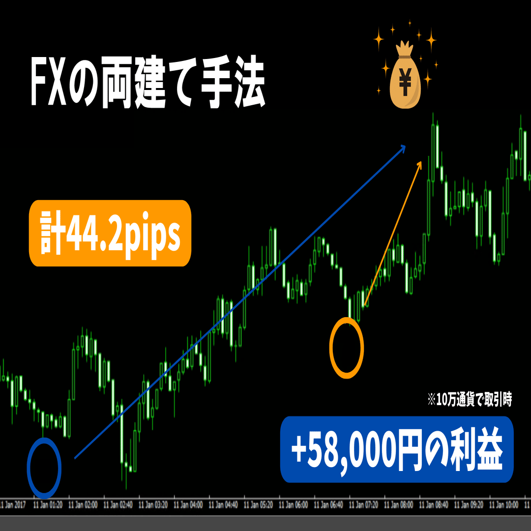 遂に見つけた！【FX両建て手法の完全解】教えます ネットで噂になっていたあの手法を解明しました - ソフトウエア