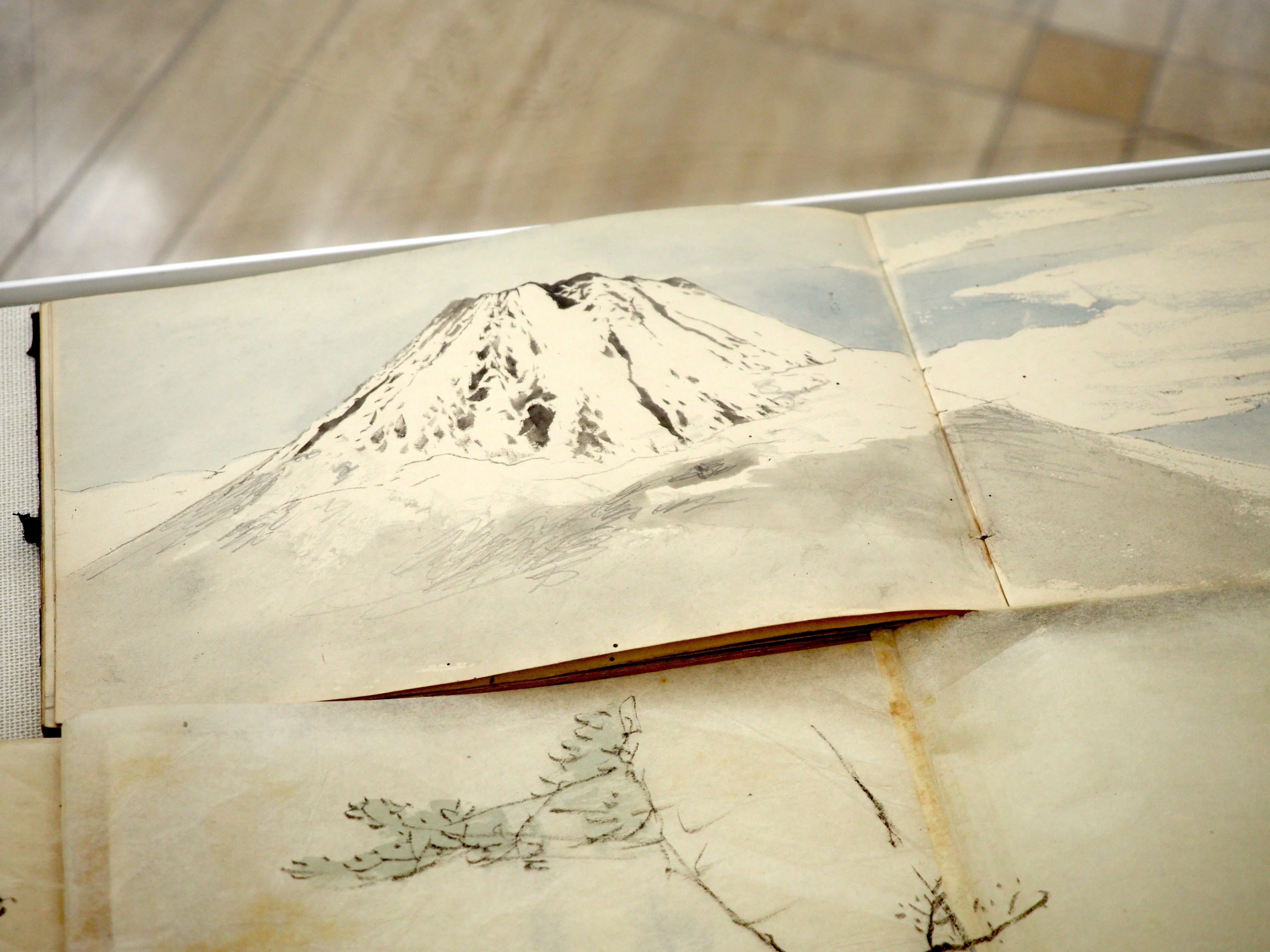 特別展 木島櫻谷（このしまおうこく） ―山水夢中」内覧会記｜かわかわ