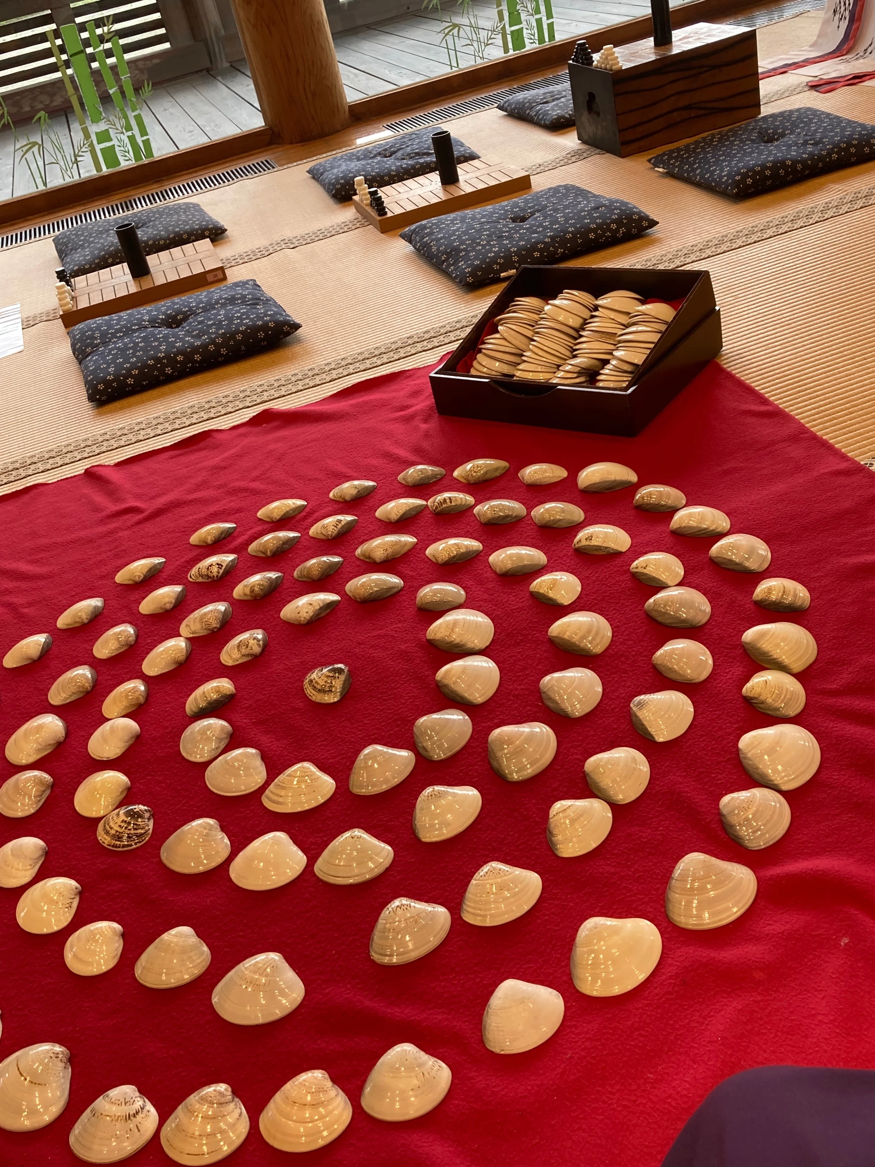 貝合わせの写真を撮りに行く｜黒瀬温