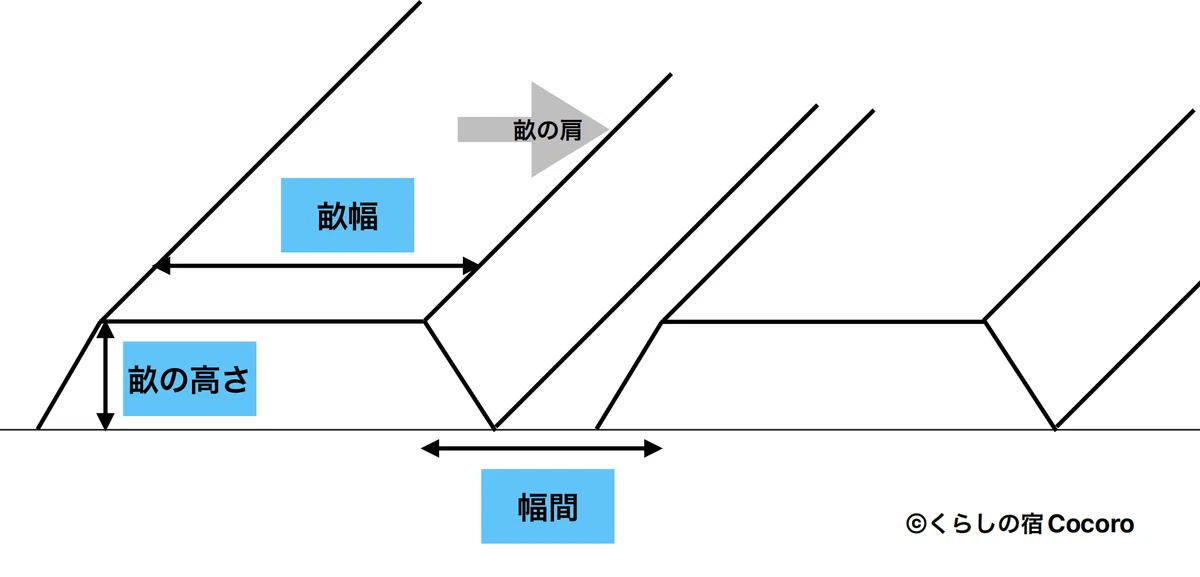 家庭菜園の畝はこう立てよう! 自然栽培農家が教える「畝の立て方」|ただっち(くらしの宿Cocoro)