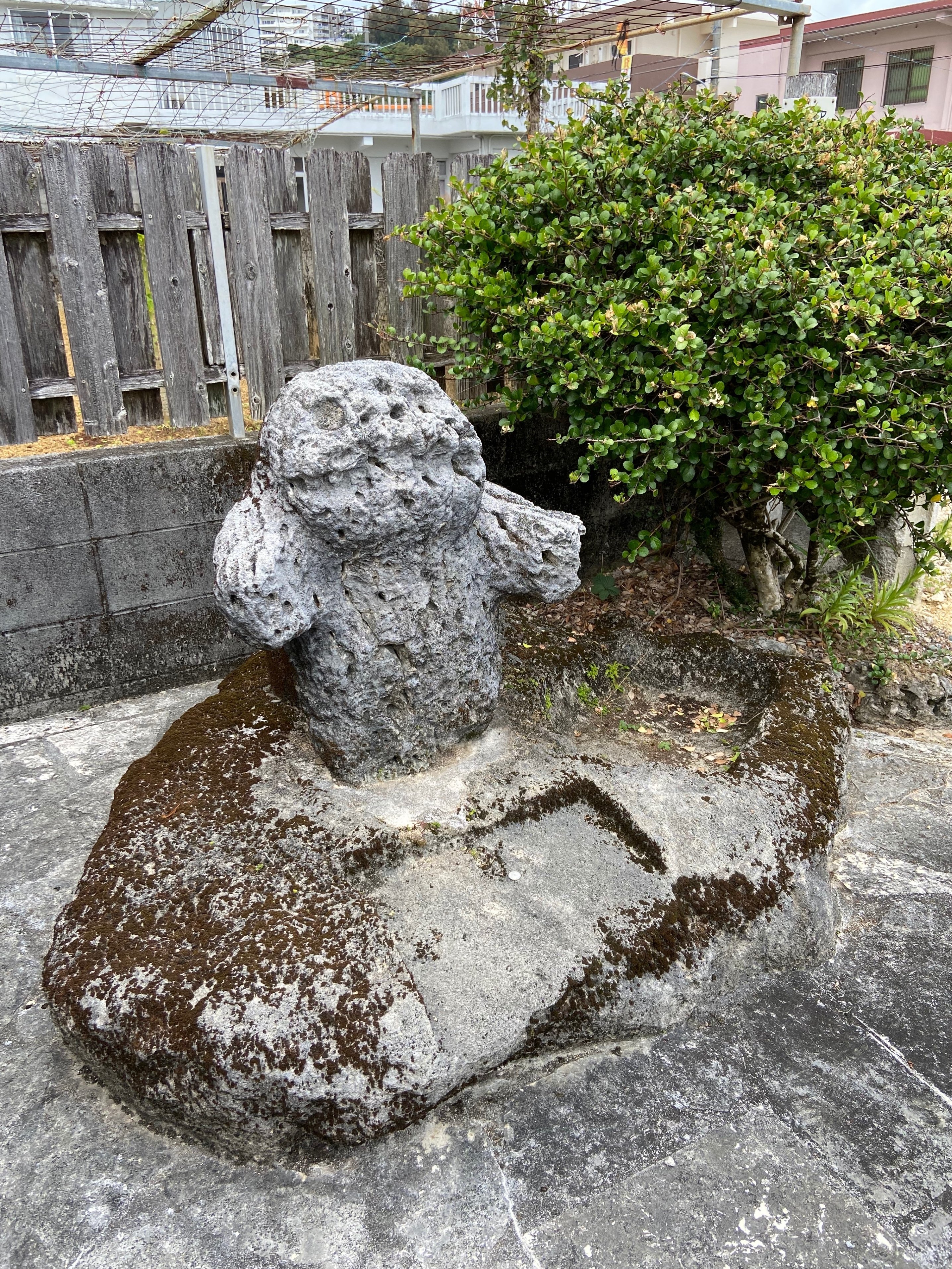 沖縄 琉球 壺屋焼 新里勇人作 台付シーサー ヤチムン やちむん