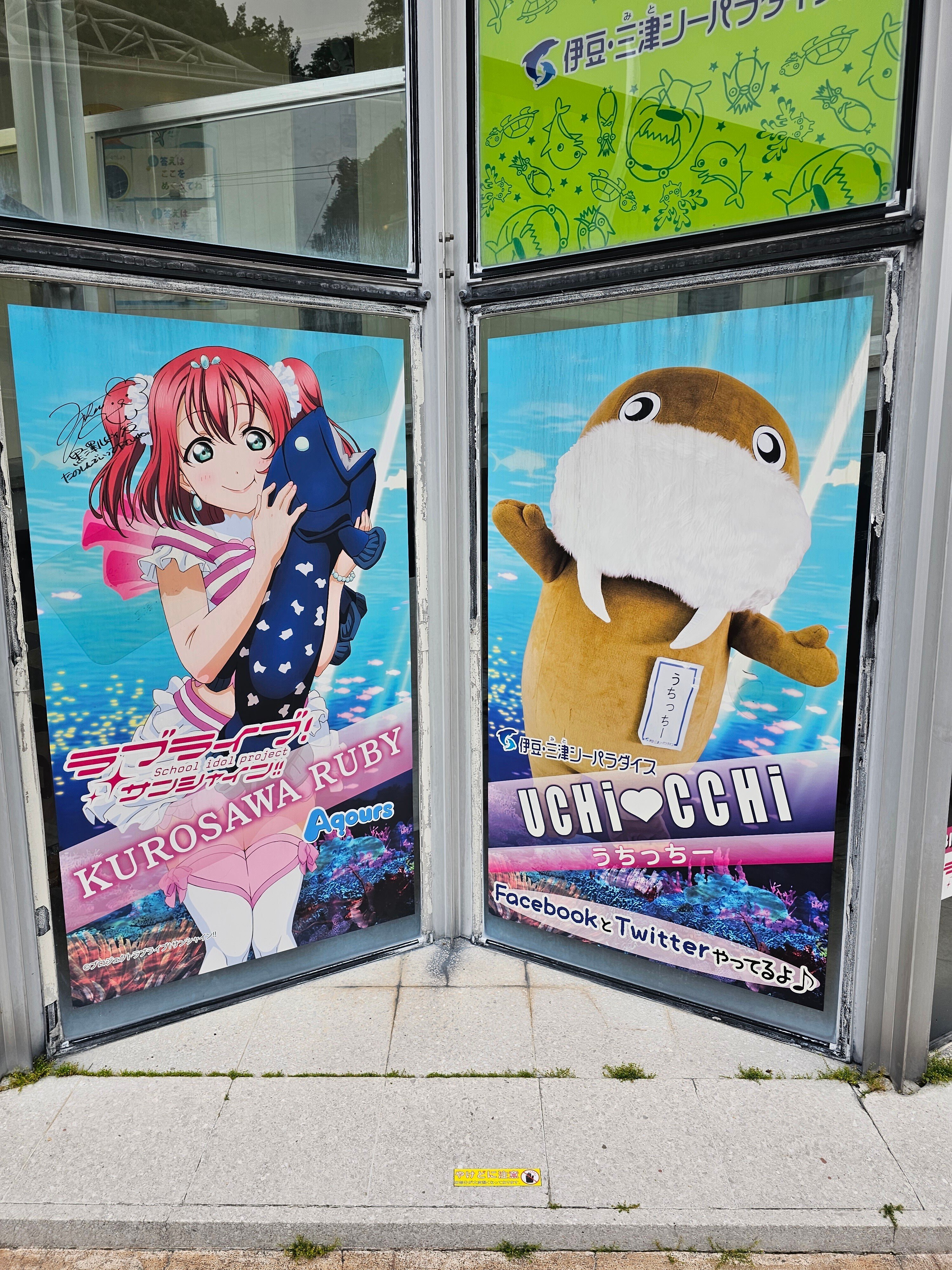 アクアリウム―伊豆・三津シーパラダイス―でふたりが出会うファンタジー