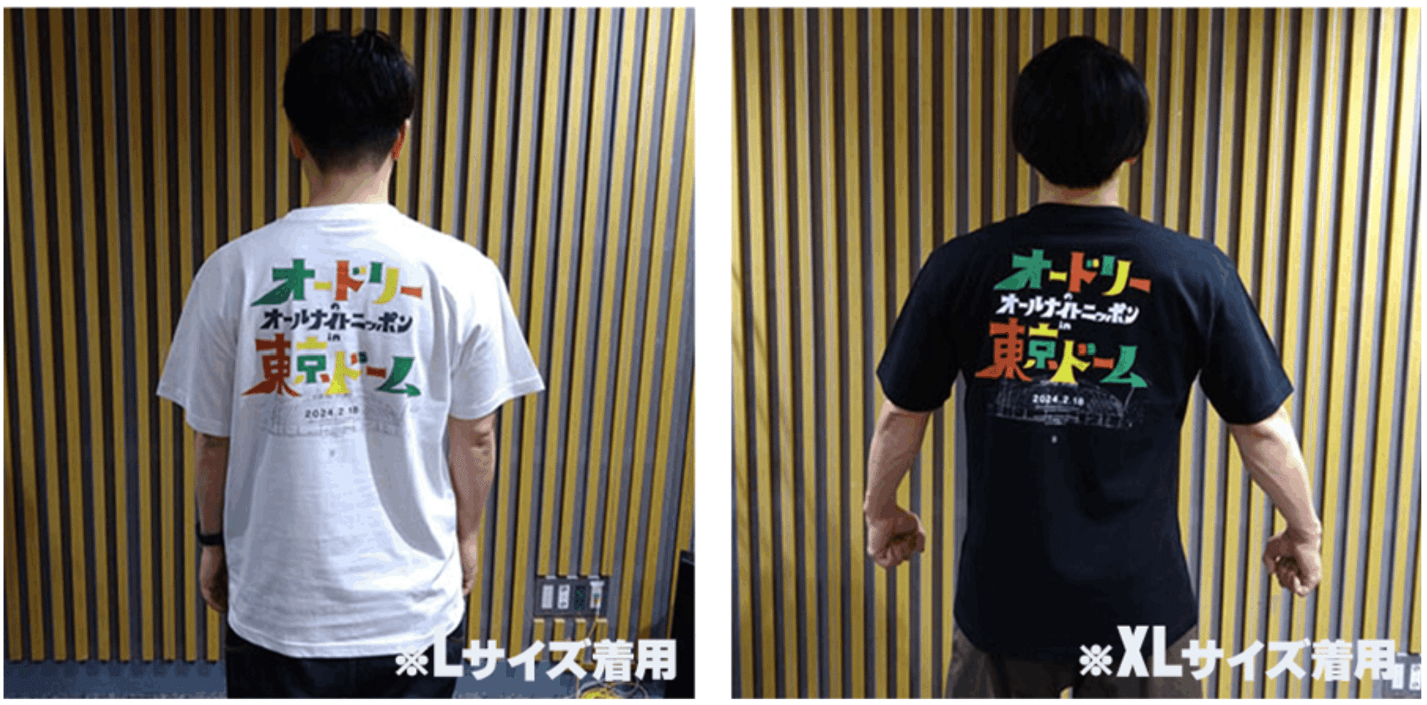 オードリーのオールナイトニッポン in 東京ドーム」宣伝Tシャツ オードリーのオールナイトニッポン in 東京ドーム」宣伝Tシャツ