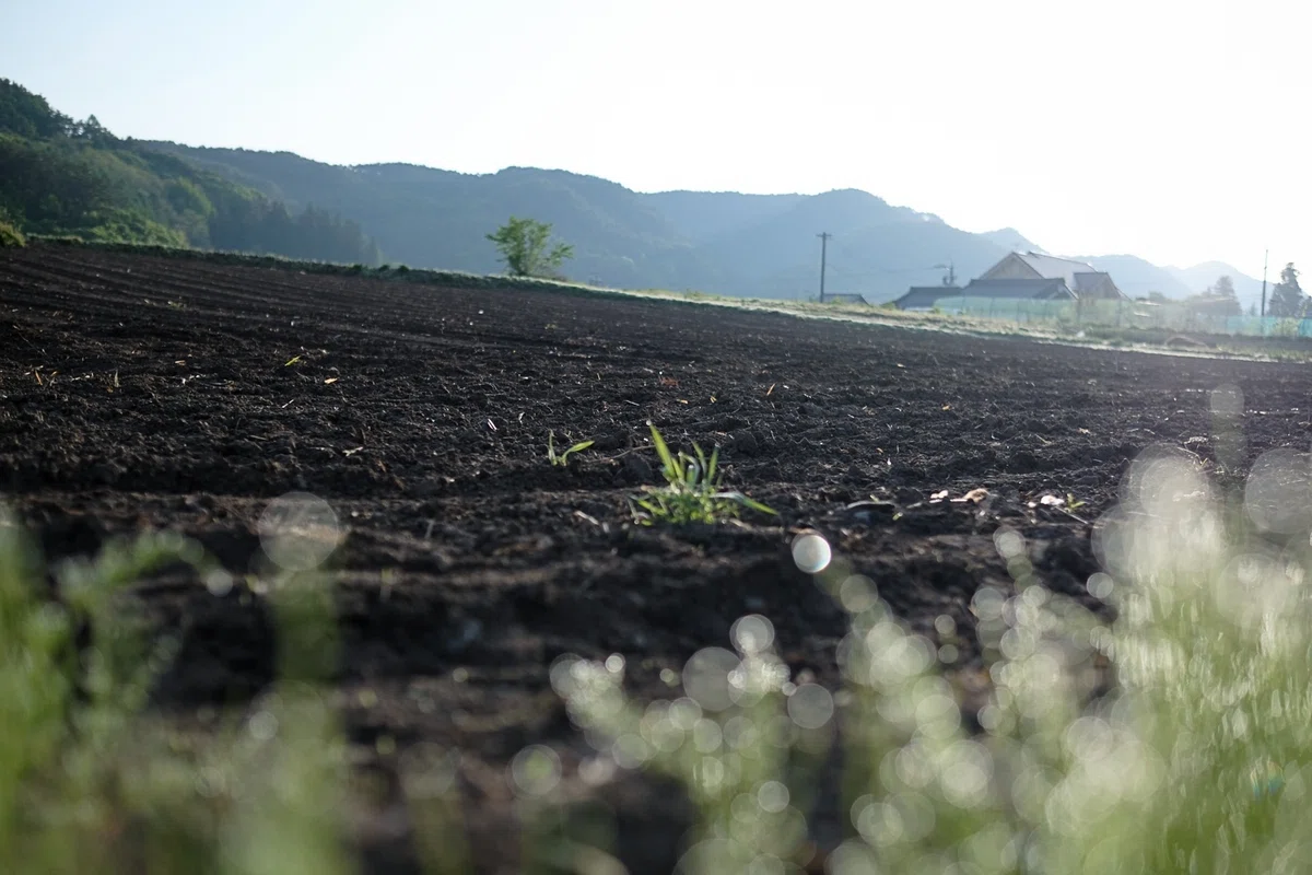 田舎