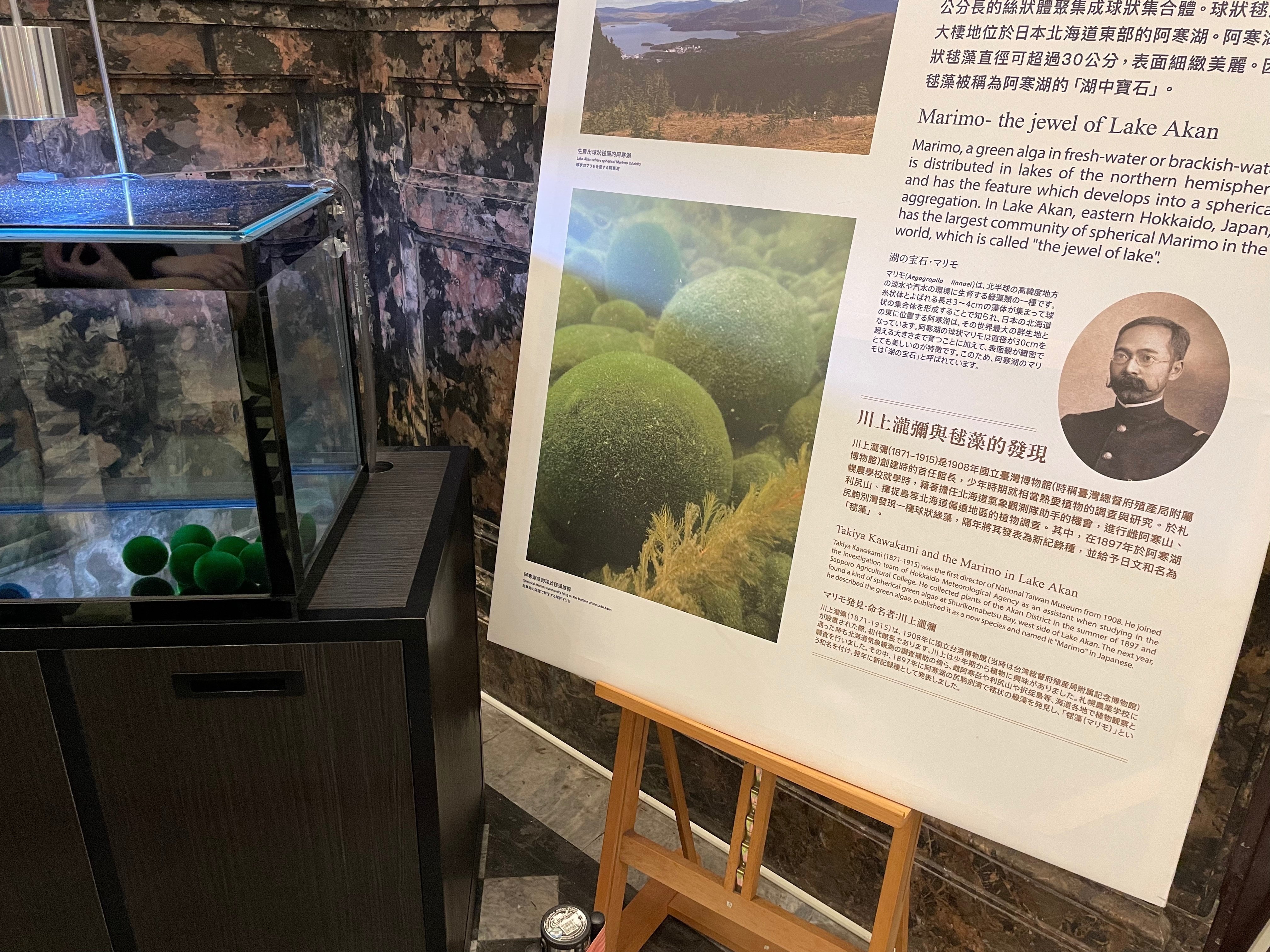 23/06/04 国立台湾博物館｜ヤスミツ