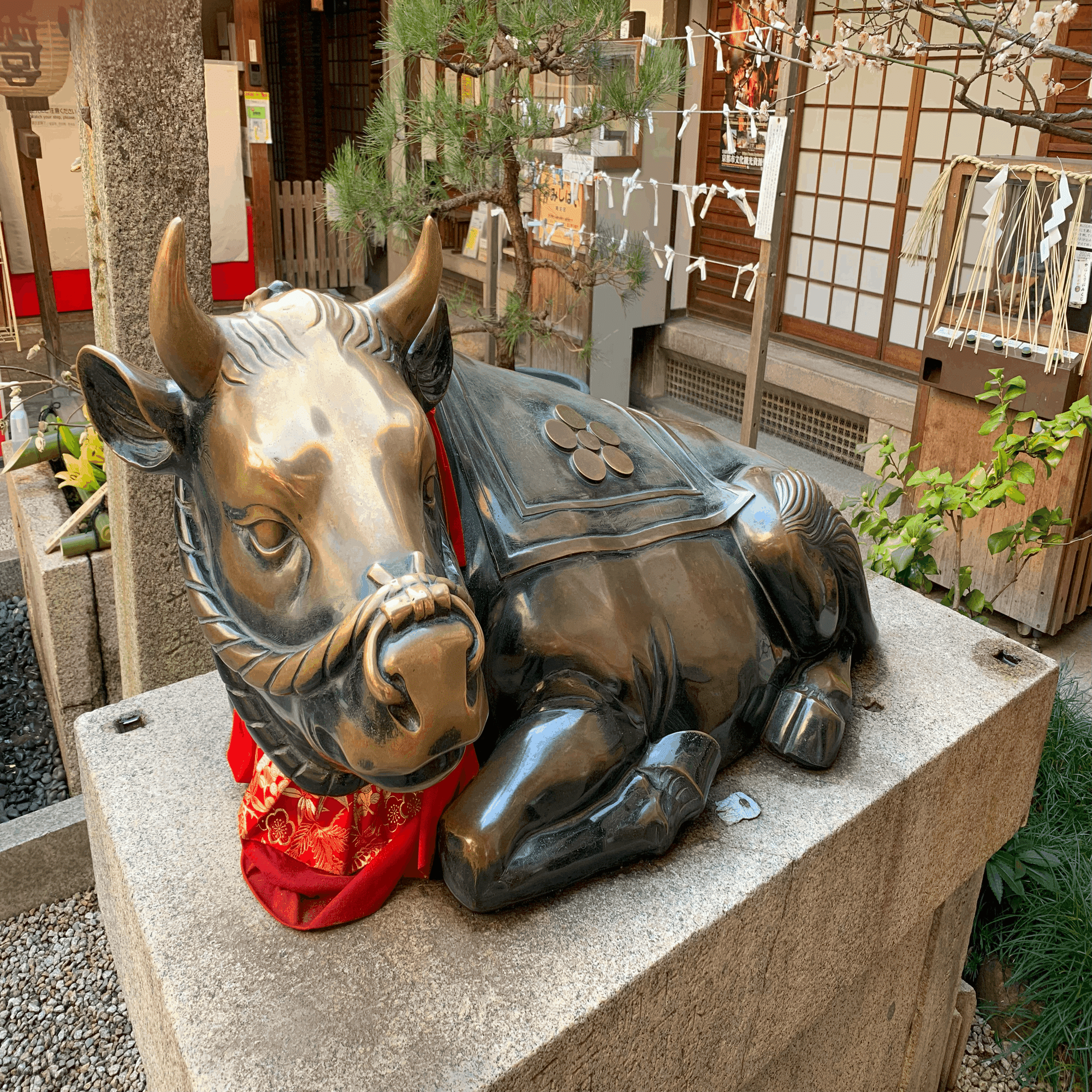 神社仏閣】錦天満宮（にしきてんまんぐう）：京都府京都市｜上田晃穂