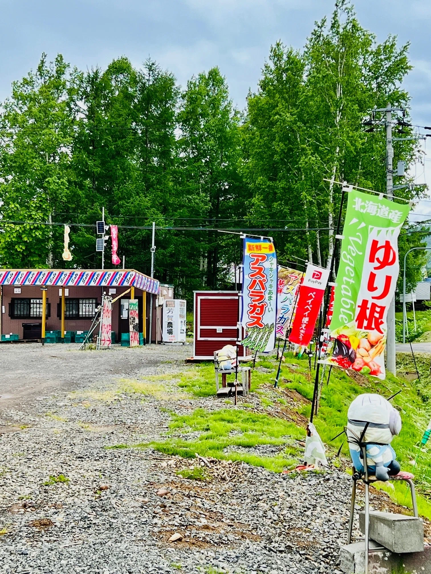 広報ニセコ連動企画】